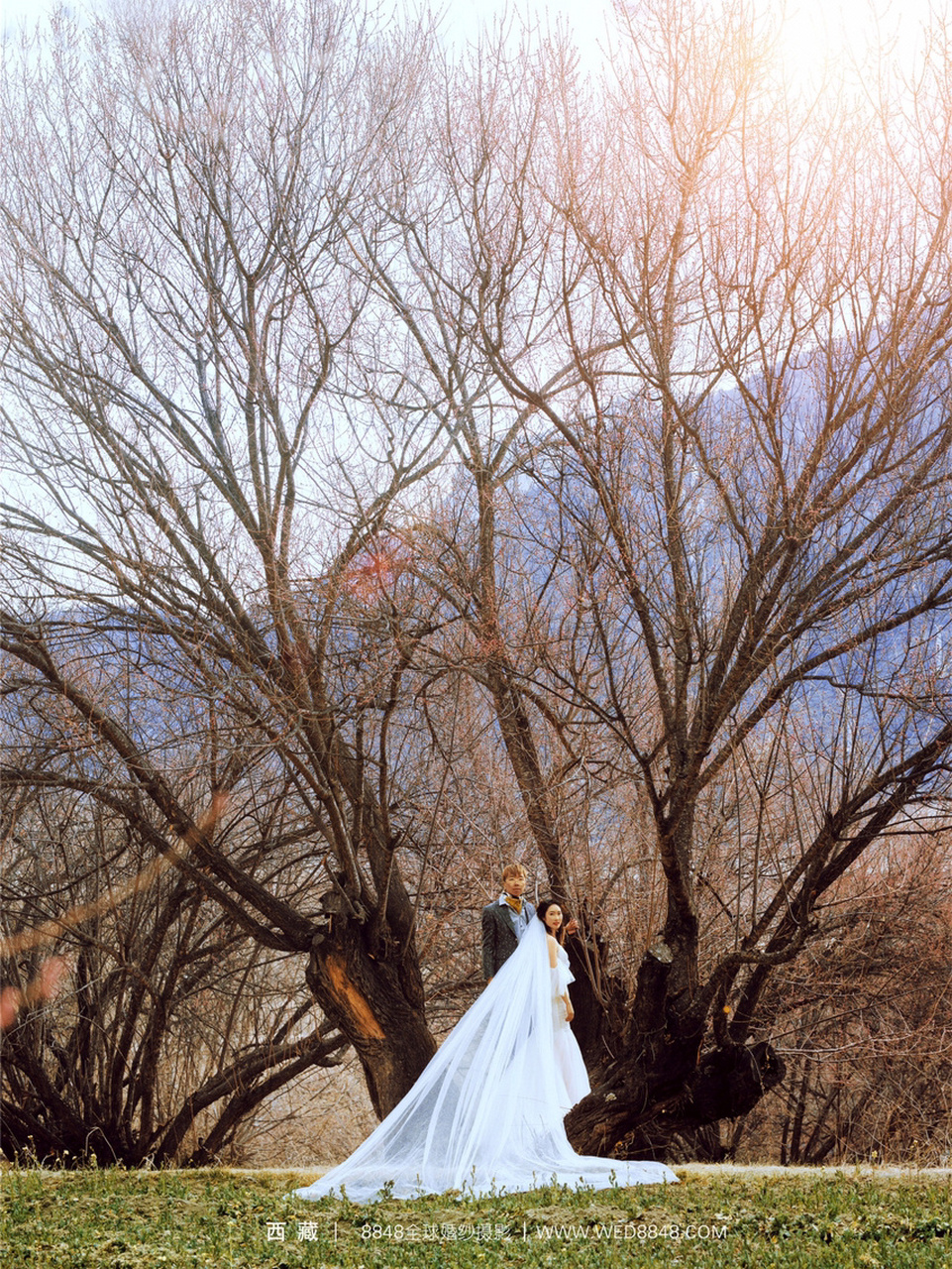 西藏旅拍 94西藏婚纱照 林芝旅拍婚纱照 8848摄影新片-林芝站94