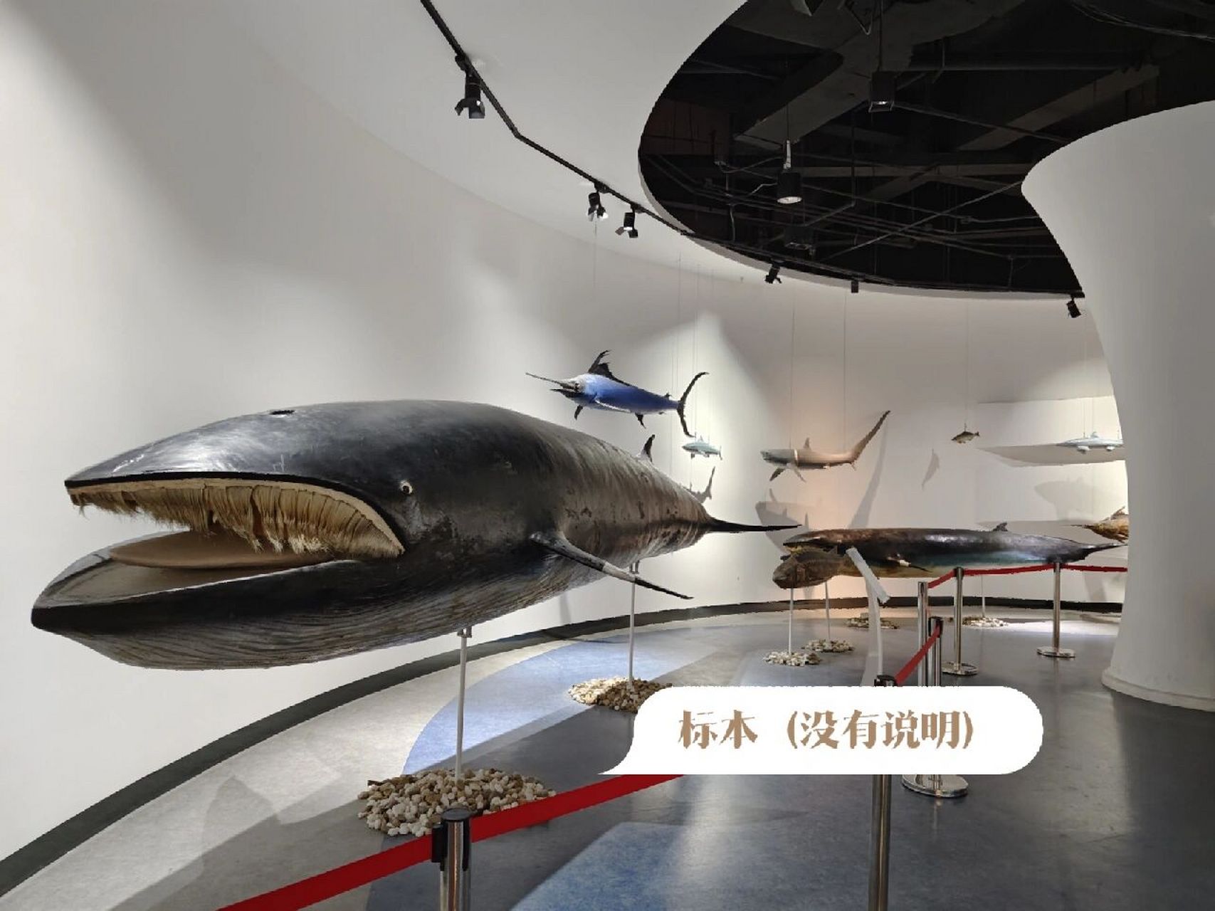 海洋食品博览中心,建筑面积36000平方米.