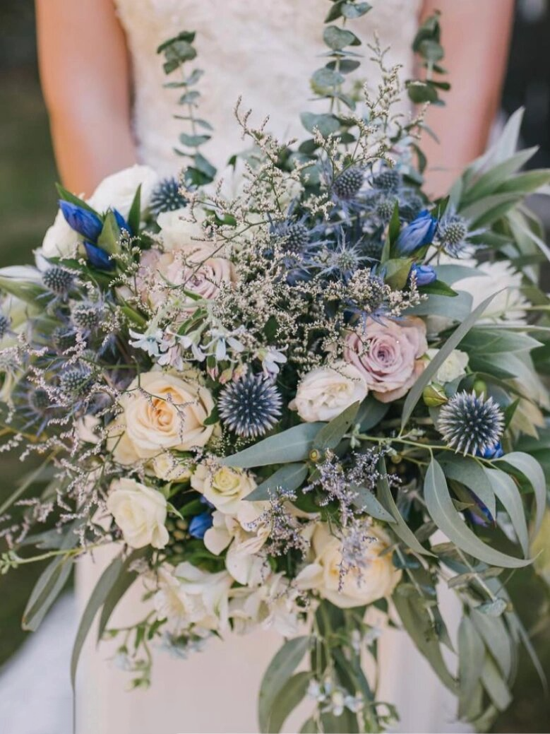 不一样的鲜切花70 | 海滨刺芹