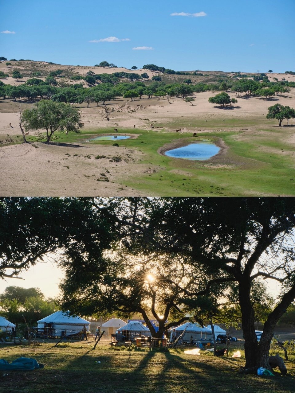 沙地中的绿洲 浑善达克 上周末参加了#徒步强国# 的草原沙地看星星