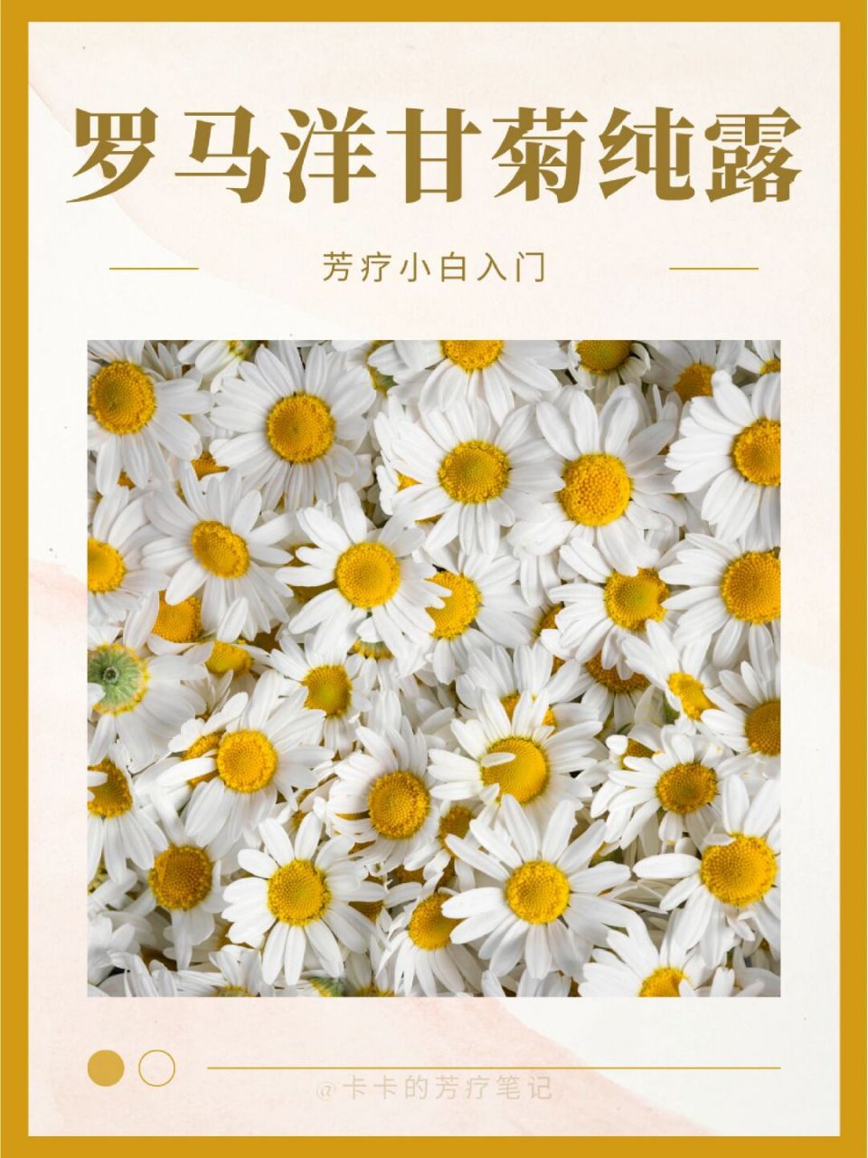 罗马洋甘菊纯露,敏感守护神呵护养娃家庭!