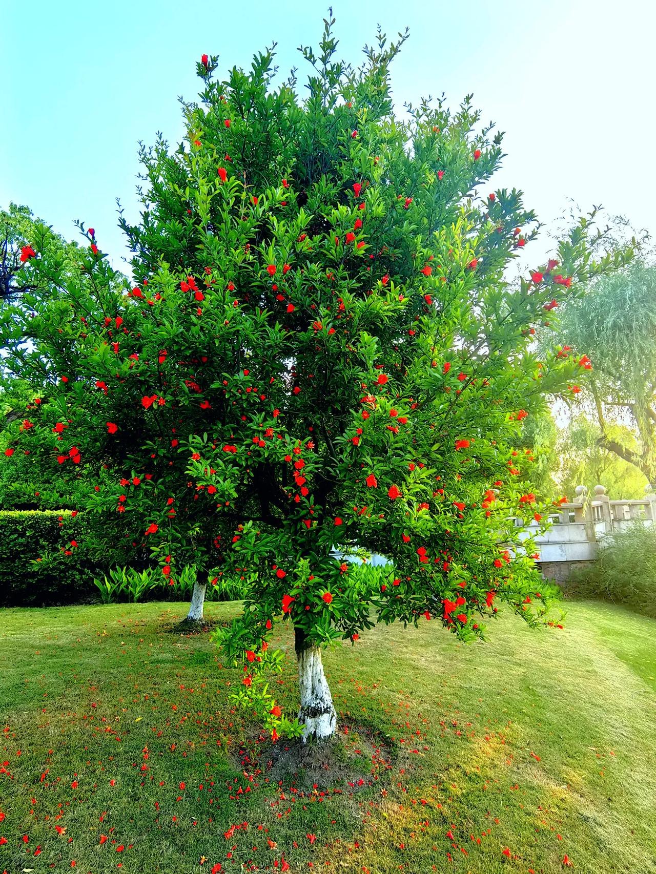 老板为了杜绝这种情况的发生,于是出了一条规定:浪费食物者罚款10元