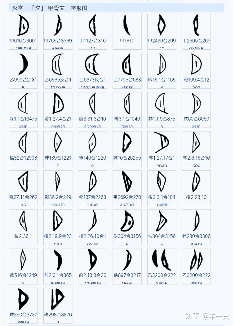夕字的甲骨文是什么样的