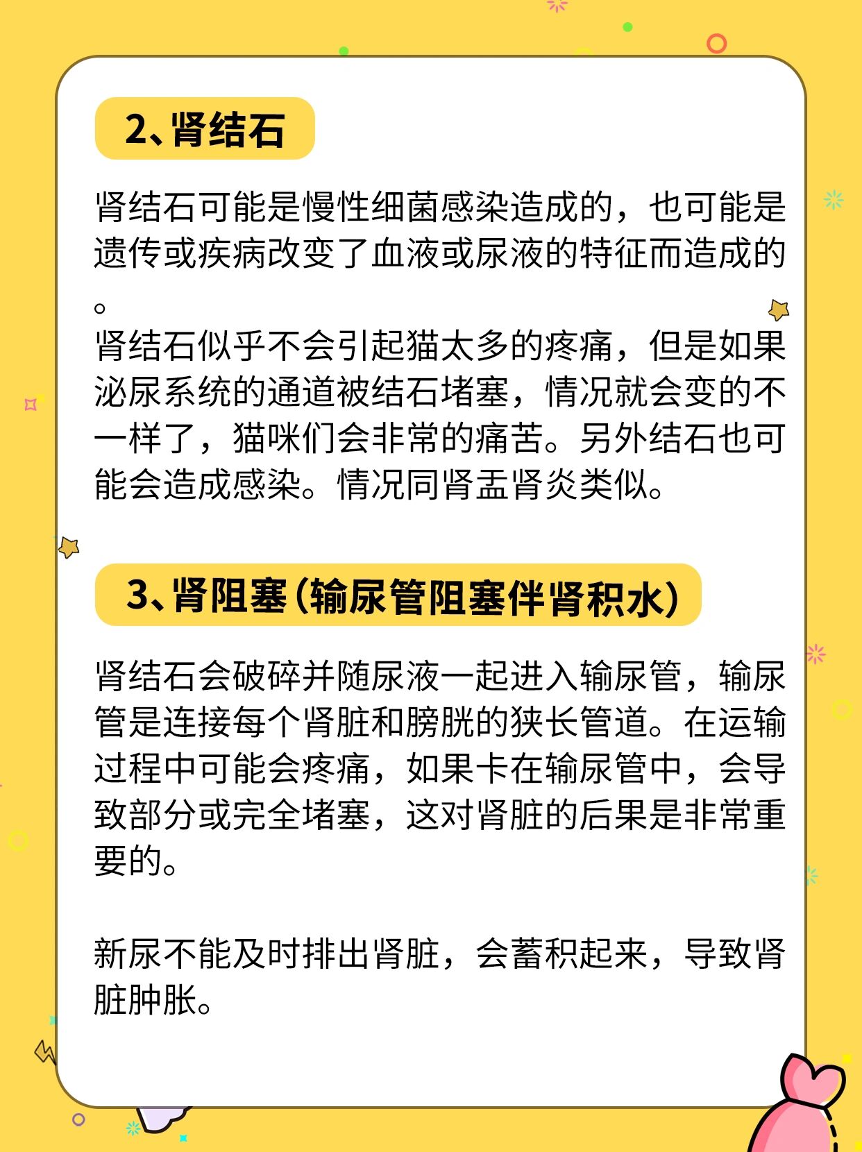 慢性肾衰竭病因图片