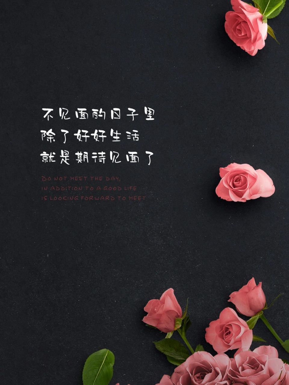 28第216期|情感文案壁纸&高级背景图 95 好心情有很多种 见你是第