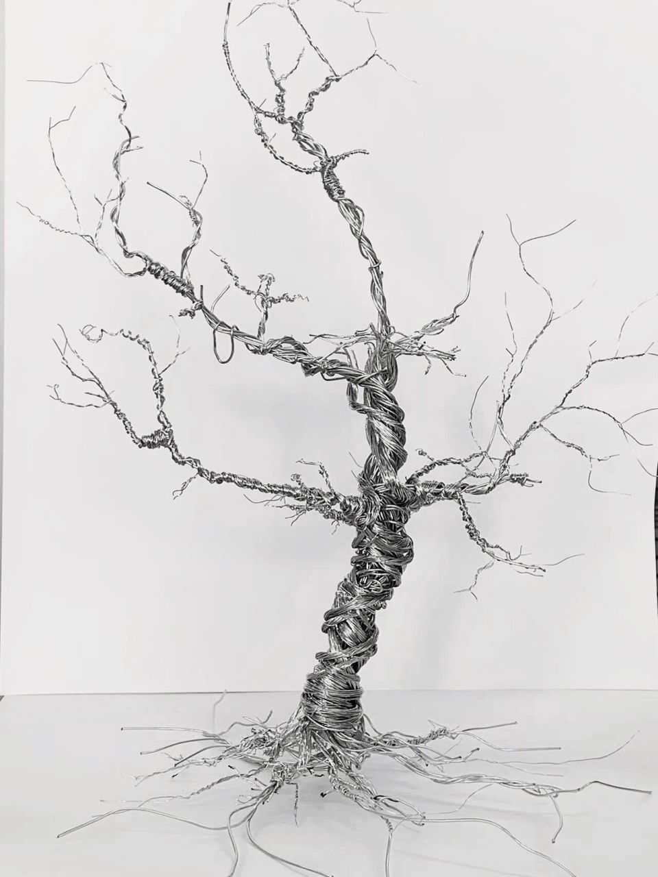 线的立体构成/大一立体构成作业/仿生构成 材料:铁丝1.2mm 做主树杆0.