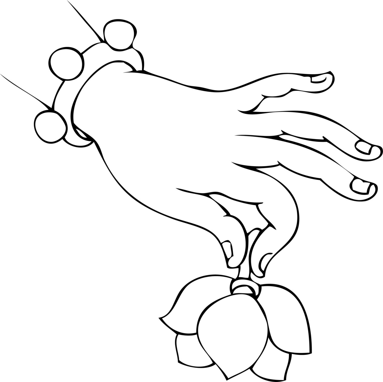 佛手白描·线描素材·国画专业参考资料底稿