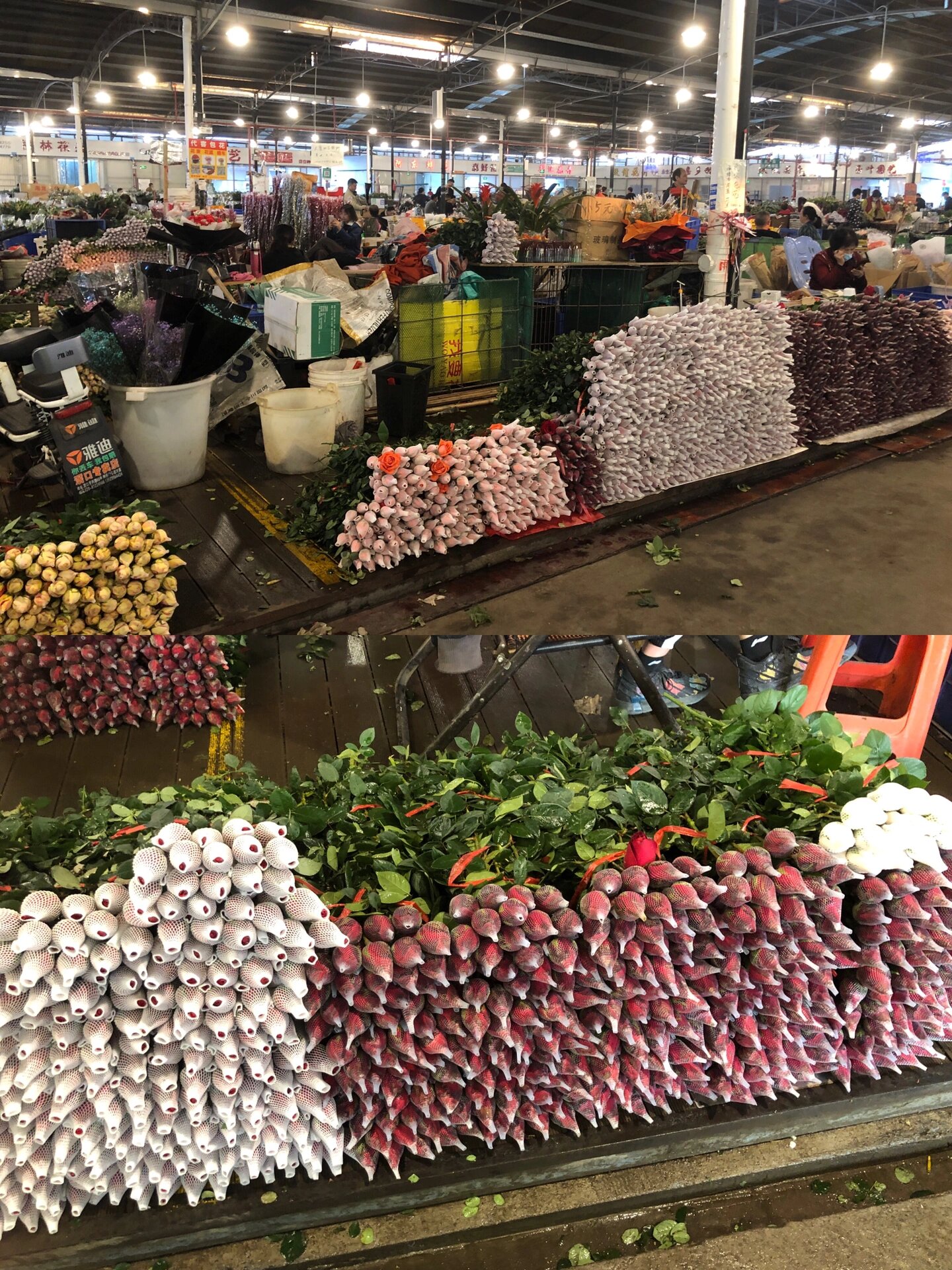 低至5r一束花 经常去逛广州岭南花卉市场,一般都是直接冲鲜花区,有两