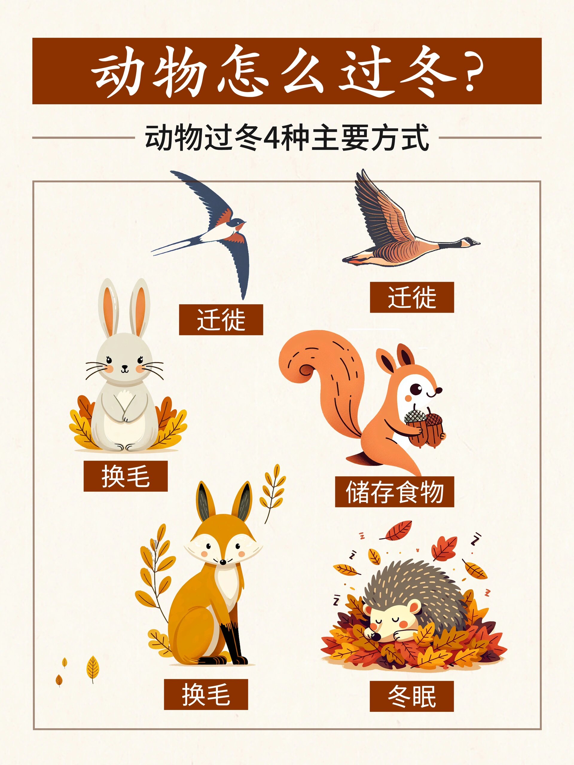 动物怎么过冬?给孩子讲讲这4种主要方式