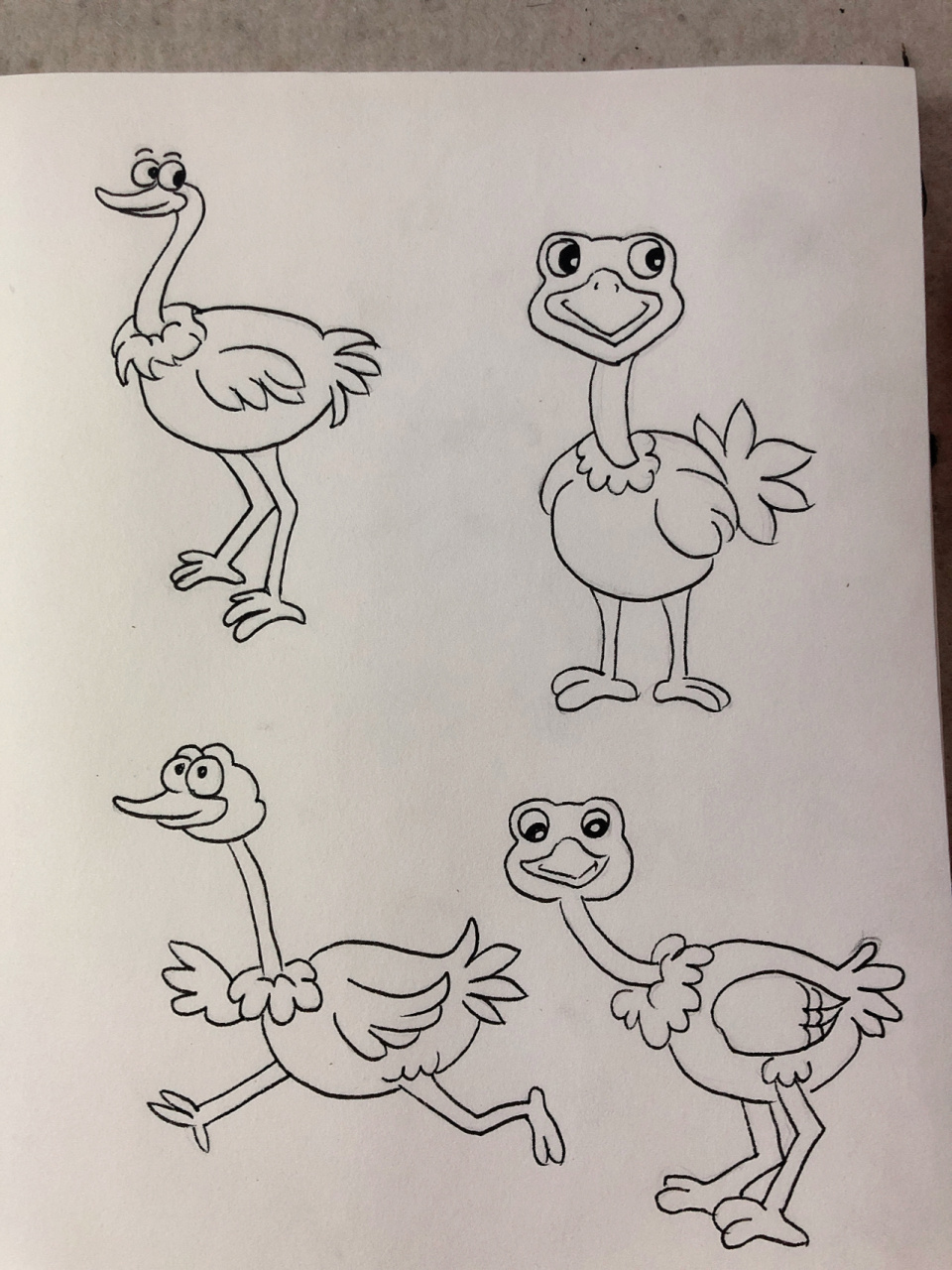 简笔画67/动物篇/鸵鸟 快来打卡啦