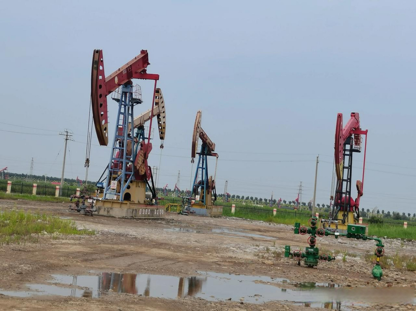 蓝天白云下井场里一棵棵采油树正在输油作业