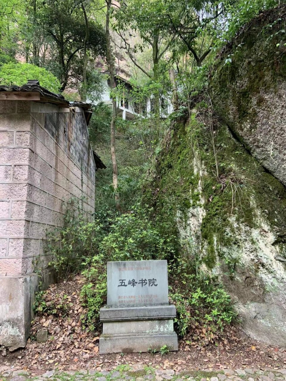 永康方岩五峰书院 绝美 小桥 流水 瀑布 走进五峰书院都是高高的树木