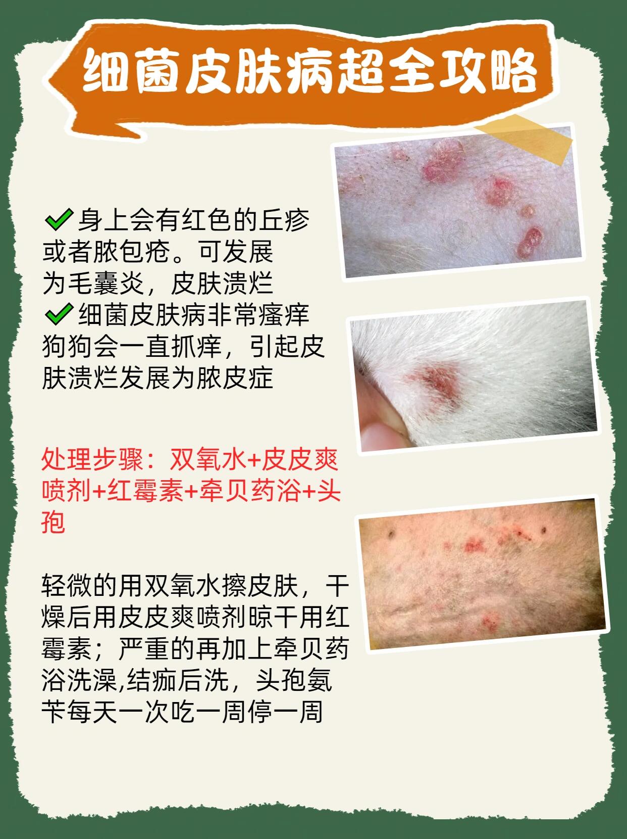 看图识别狗狗六种皮肤病!自己就能在家诊断