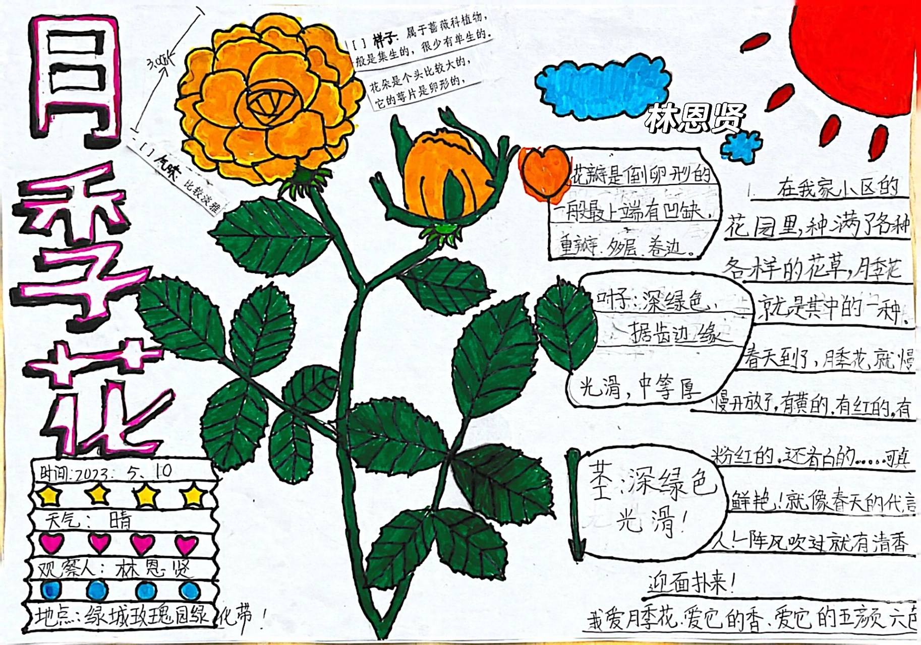 一年级小朋友自己独立完成的自然笔记.