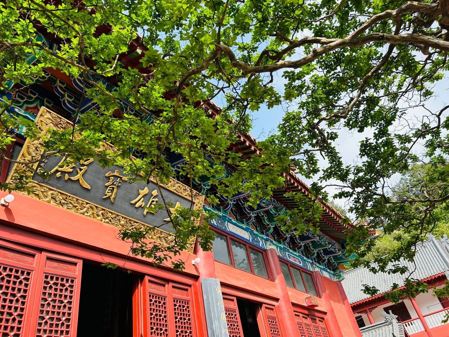 信阳灵山,#灵山寺[poi]# 信阳灵山风景区,在河南罗山县境内,离信阳城