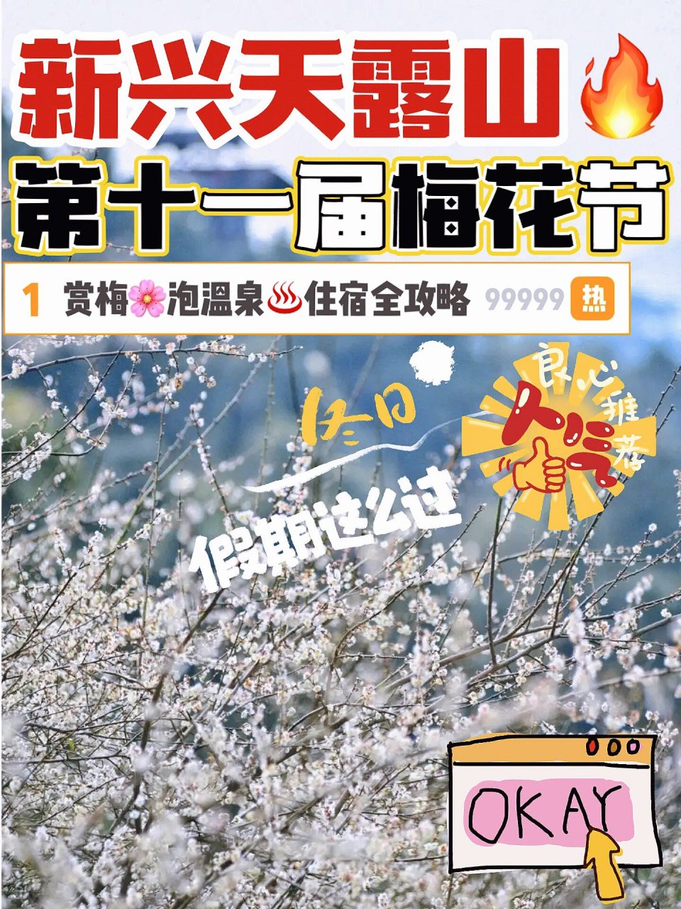 新兴天露山梅花节开始啦97赏梅泡温泉全攻略 99每年12月,新兴天露