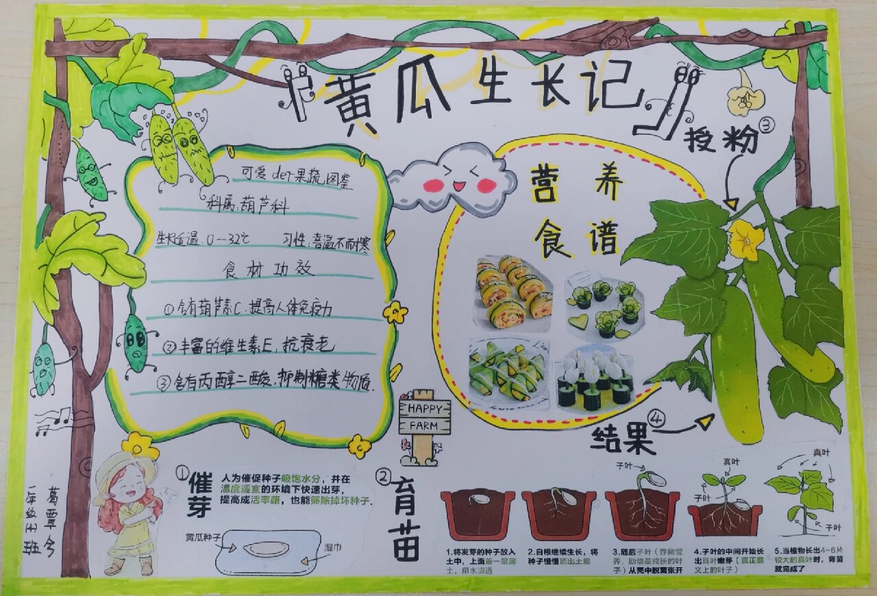 黄瓜06生长日记 本周科学老师的作业 感谢