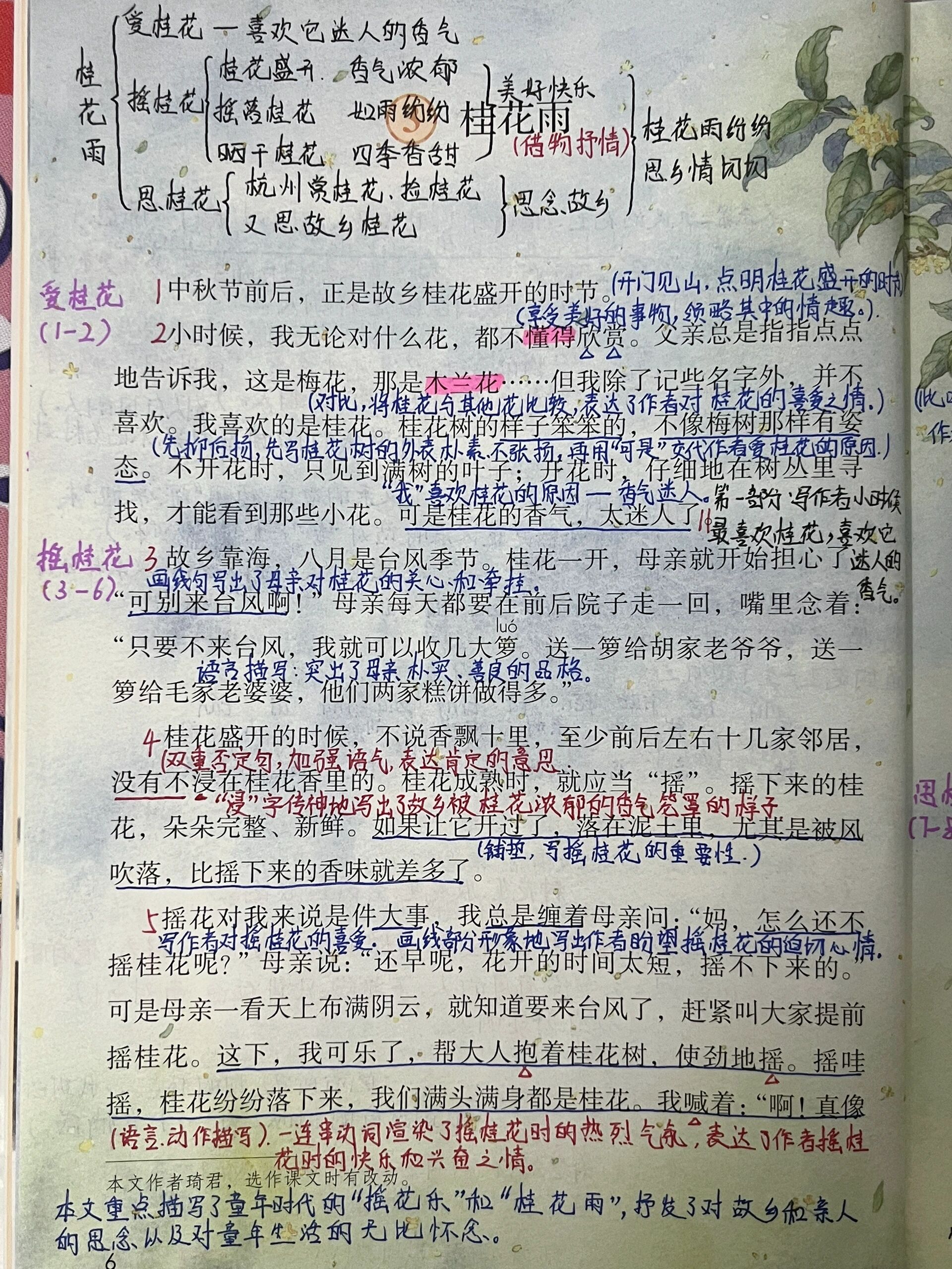 五上备课 | 第三课《桂花雨》课本笔记94 五年级上册第三课《桂花雨