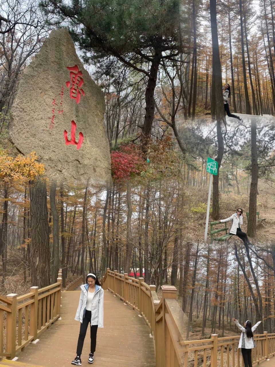 淄博|鲁山国家森林公园   事项 名字|鲁山国家森林公园 位置|山东省