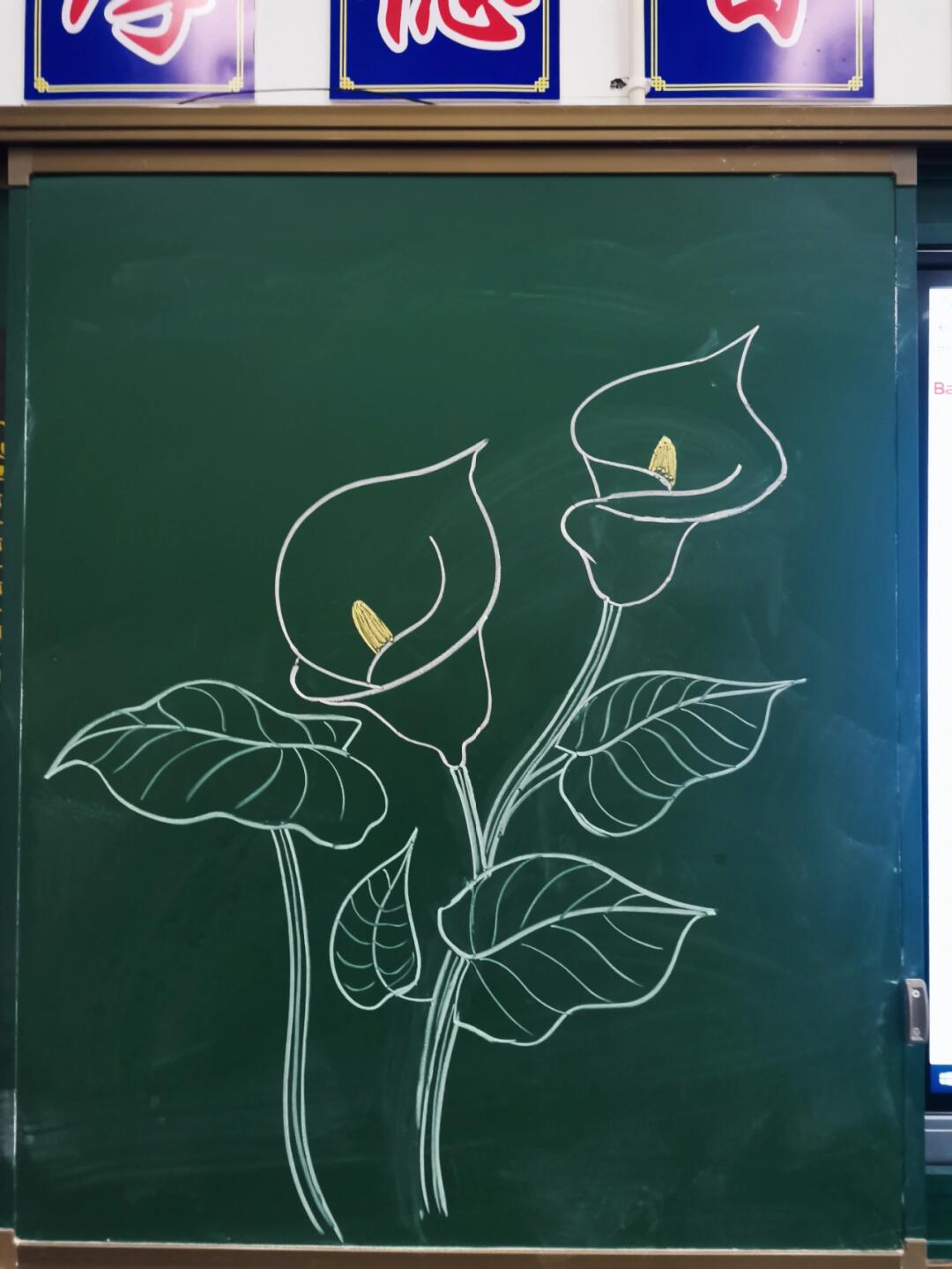 粉笔画——马蹄莲