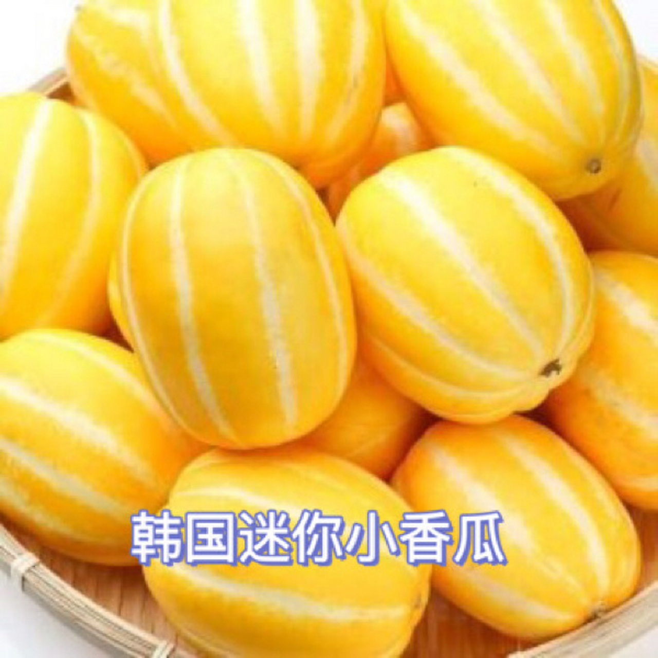 07新品推荐07 韩国迷你小香瓜9693 韩国有种特殊造型的水果