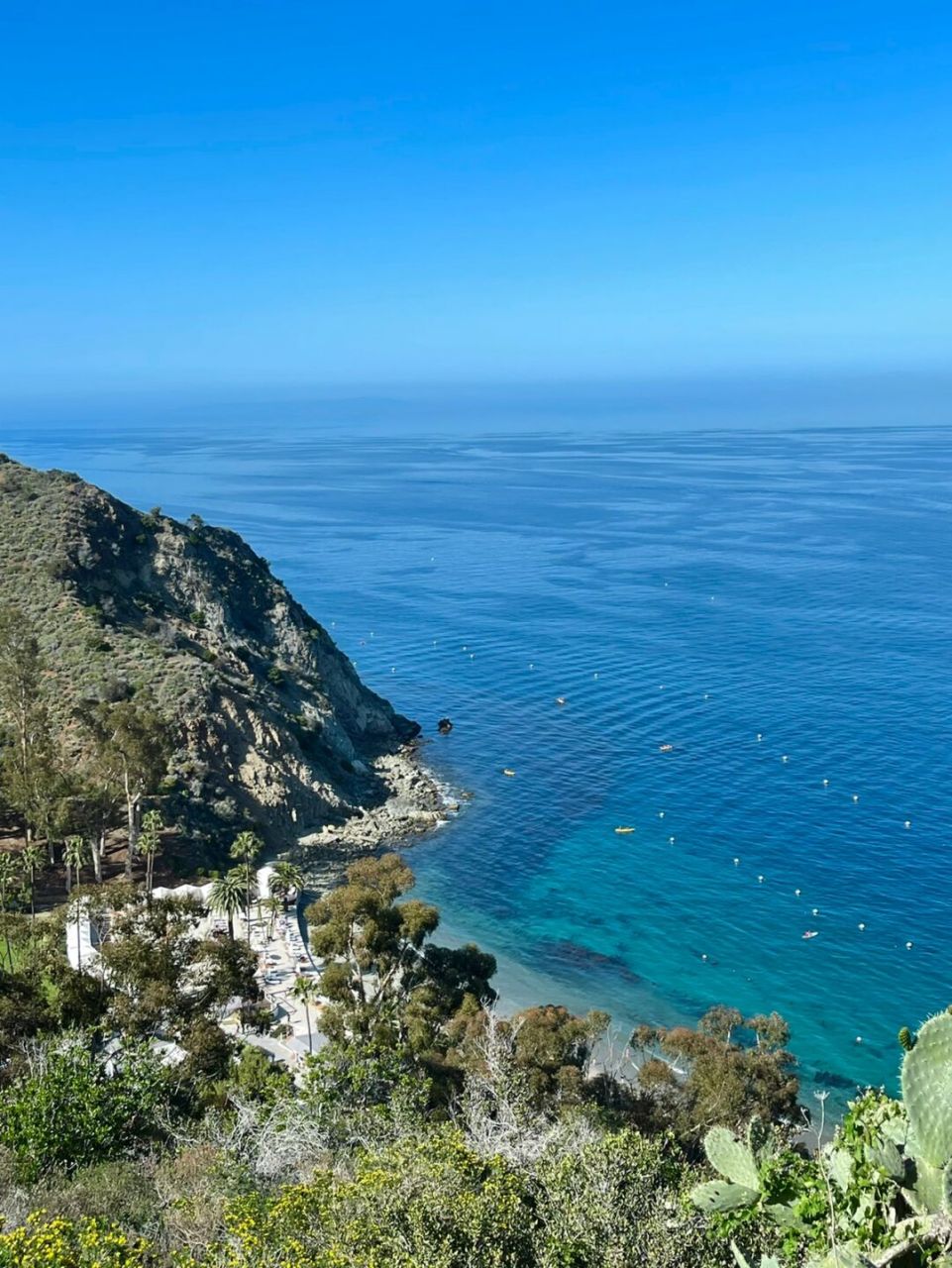 catalina island|南加州后花园真的太美了 我宣布这就是我最爱的小岛