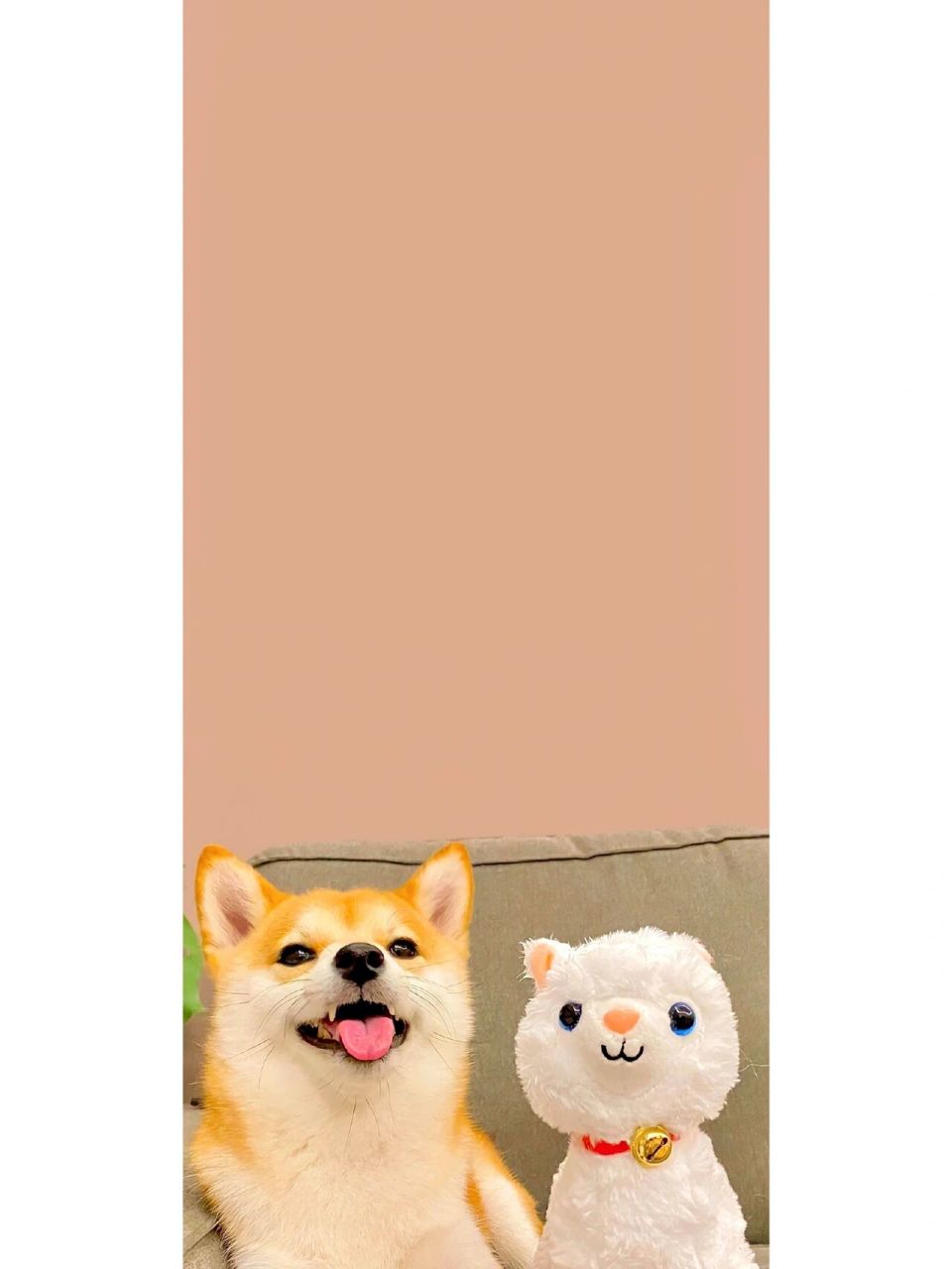 可爱柴犬壁纸|聊天背景图|锁屏壁纸 今日份柴犬修勾壁纸请签收!