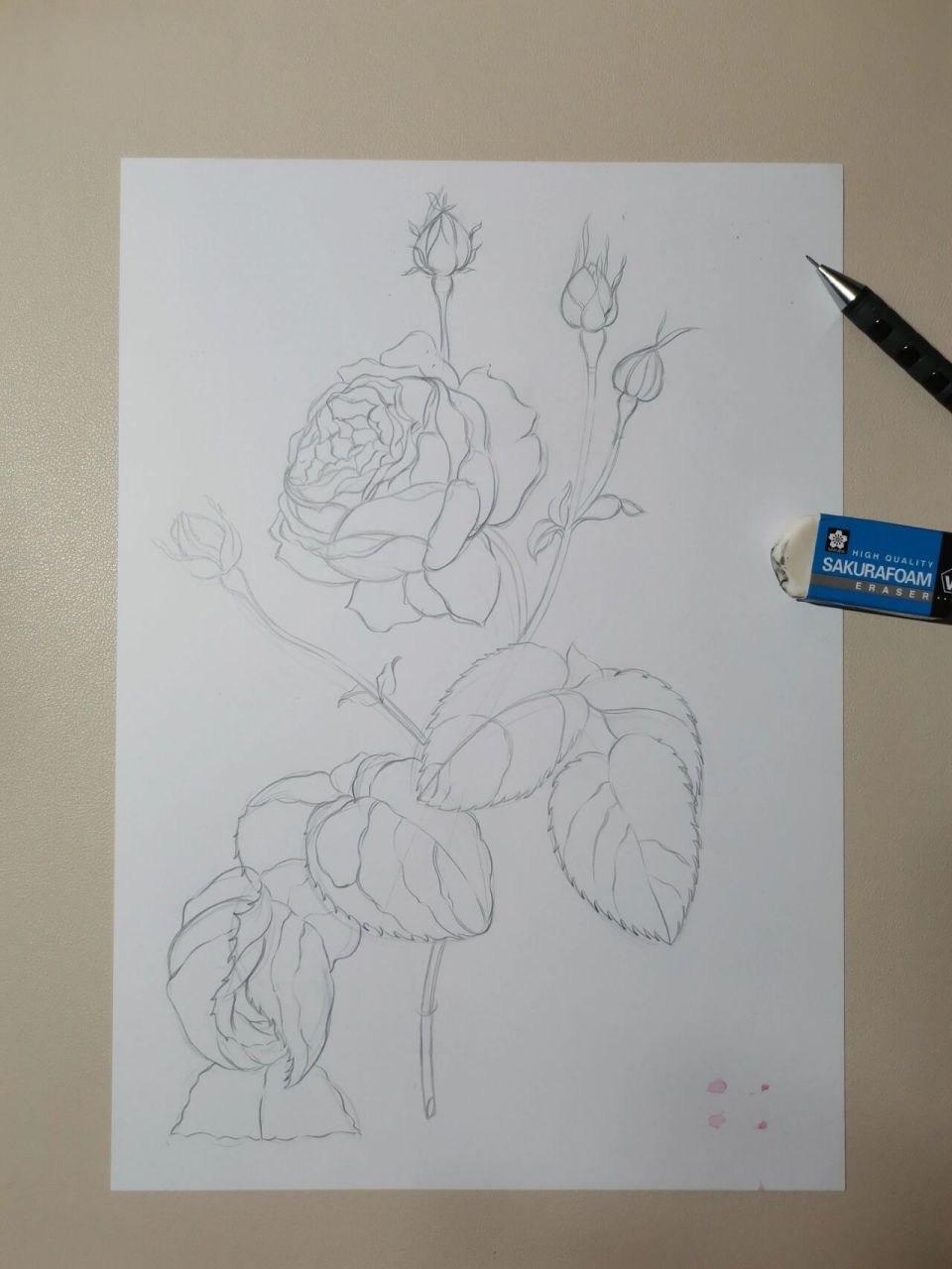 色彩-蔷薇花 马克笔  彩铅的结合绘画🎨 渐变画的太累了🙃 今天也