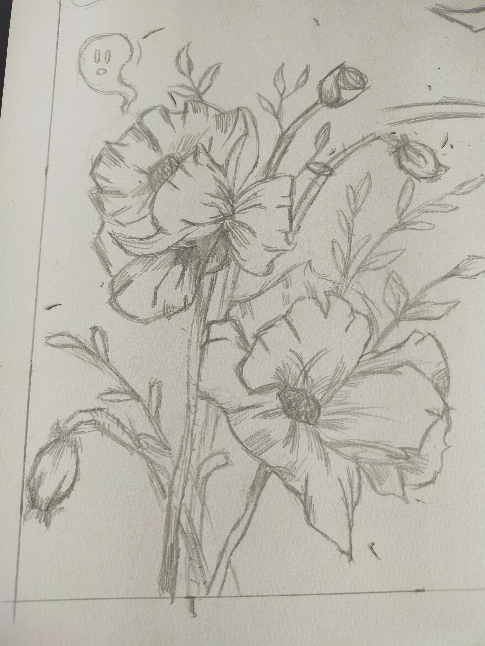 禁毒手抄报,可临摹,勿抄袭