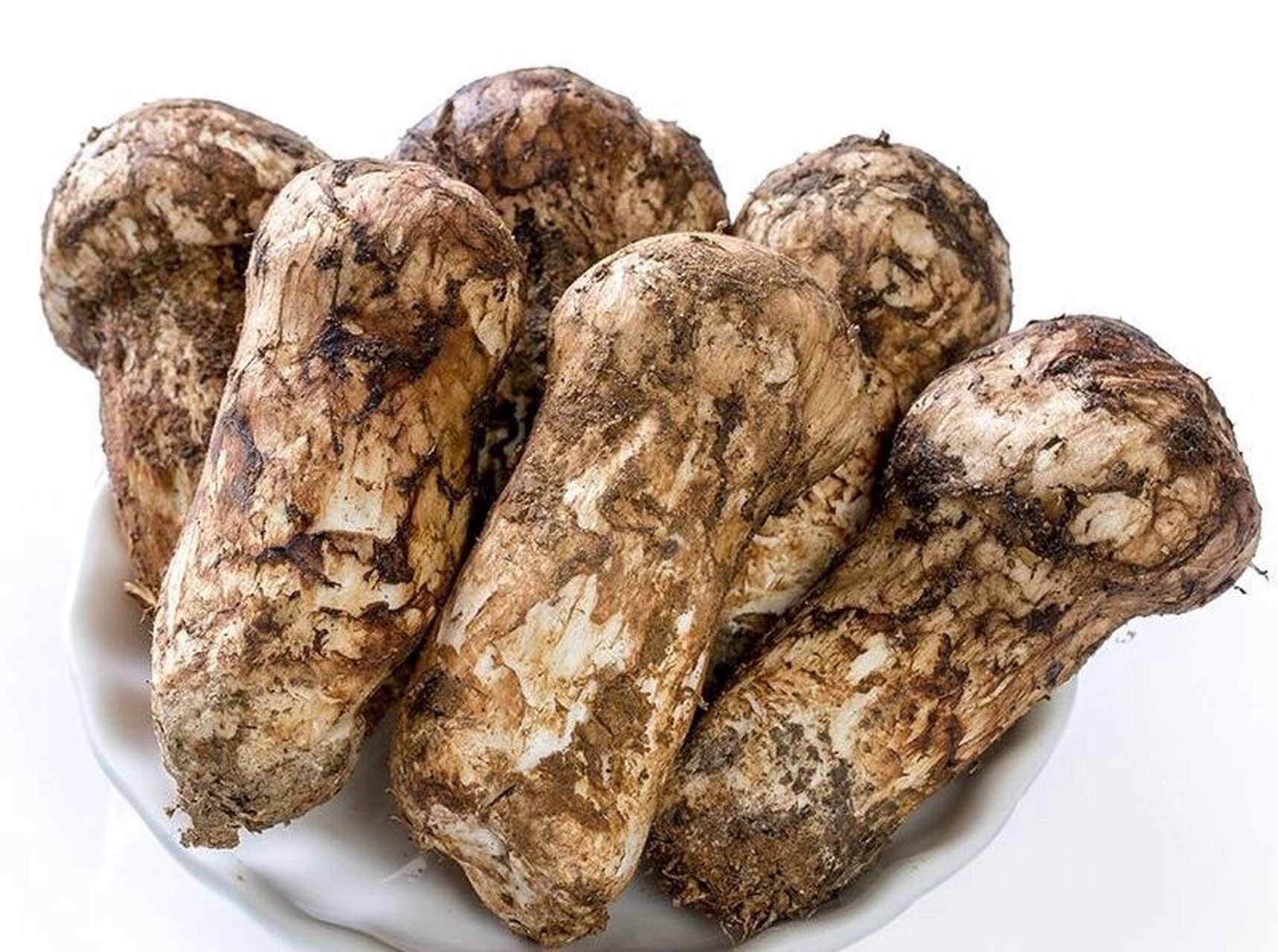 武陵山珍|人工无法种植的"万菌之王"|松茸 松茸是极为珍贵的野生真菌