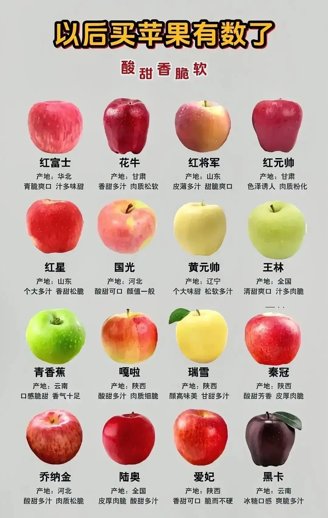 看完这些苹果96的品种,大家以后买苹果心里就有数了