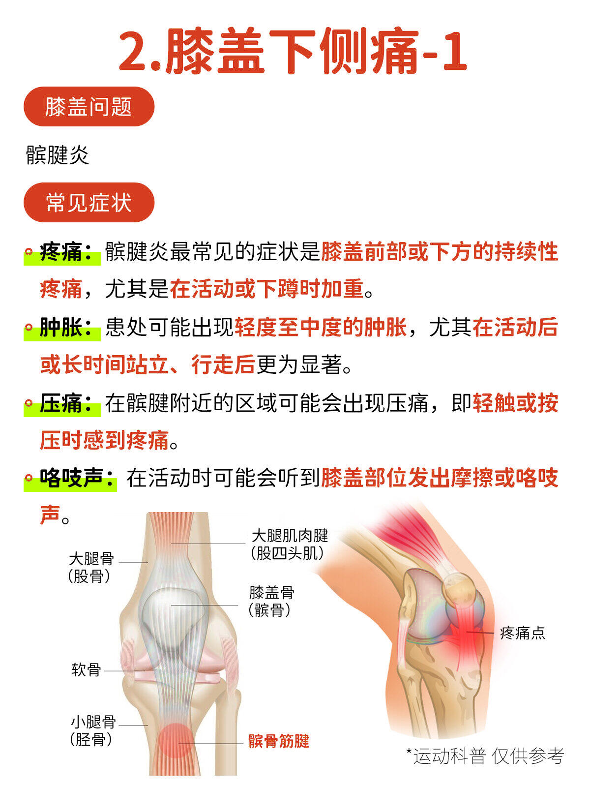 膝盖疼痛对照图图片