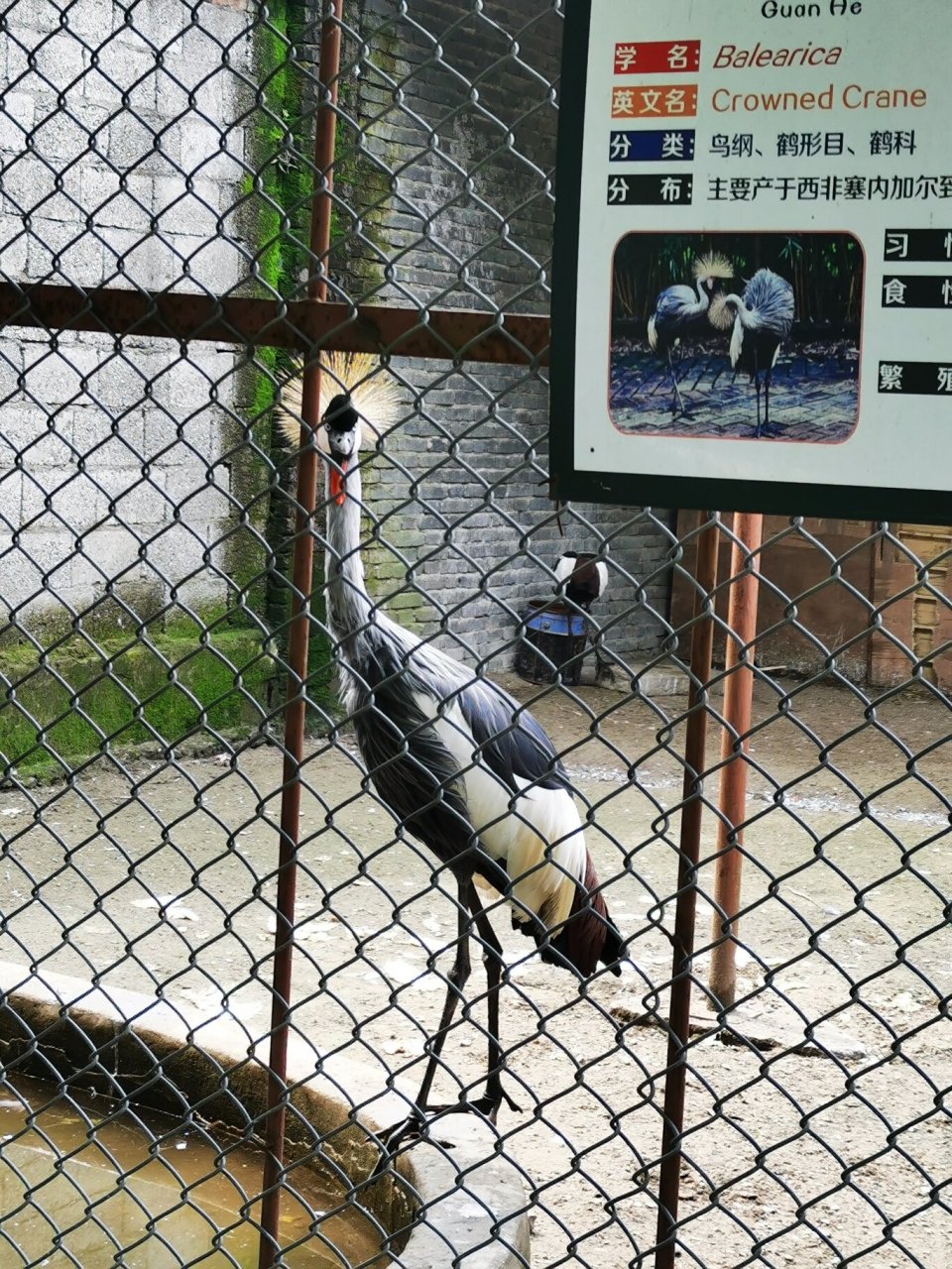 打卡铜陵市动物园 确切说是动物养殖基地,比想象的好很多.