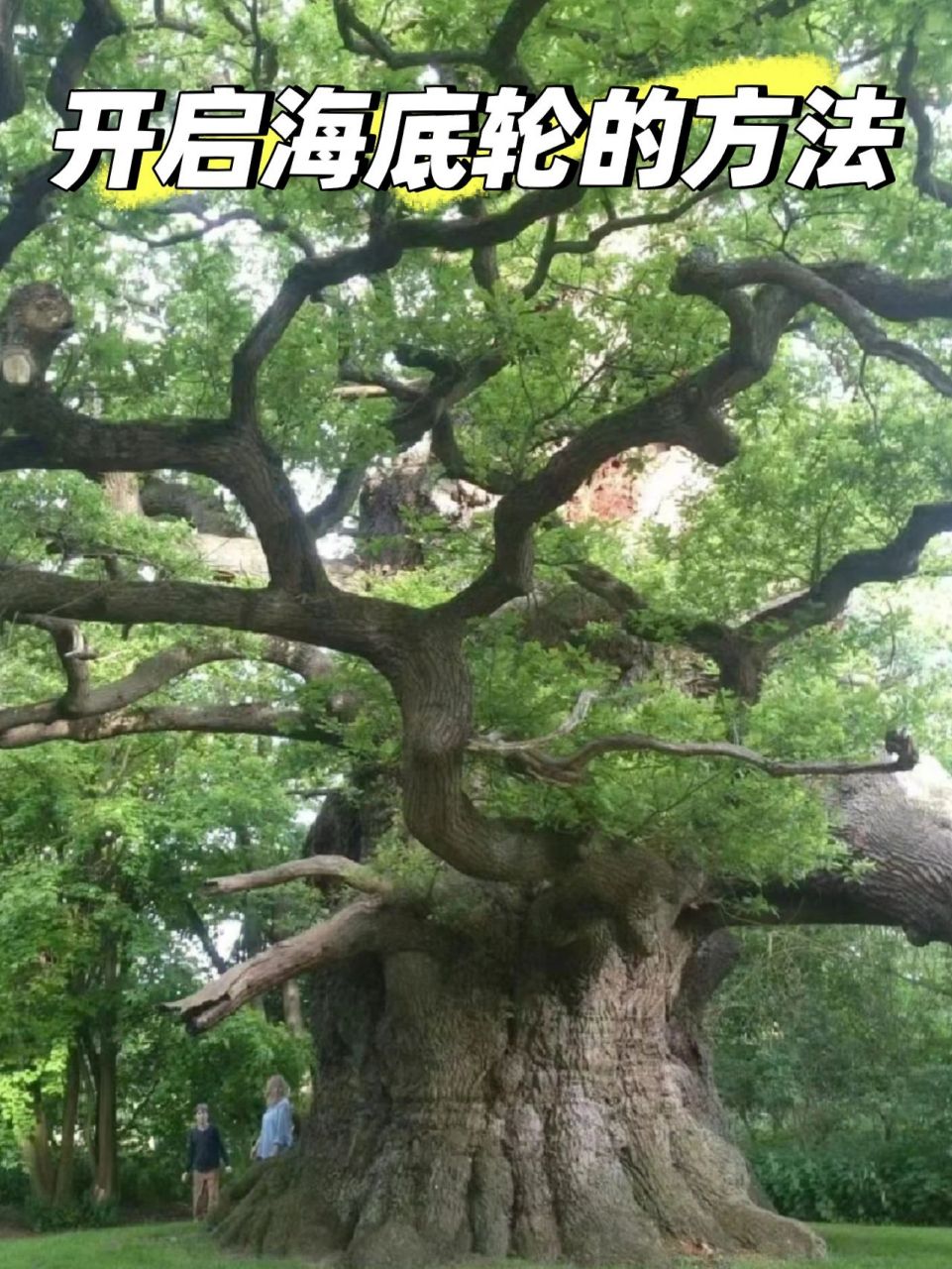 黑曜石,石榴石) 2,泡海盐水(温水 海盐泡澡,泡脚) 3,坐在树下拥抱大树