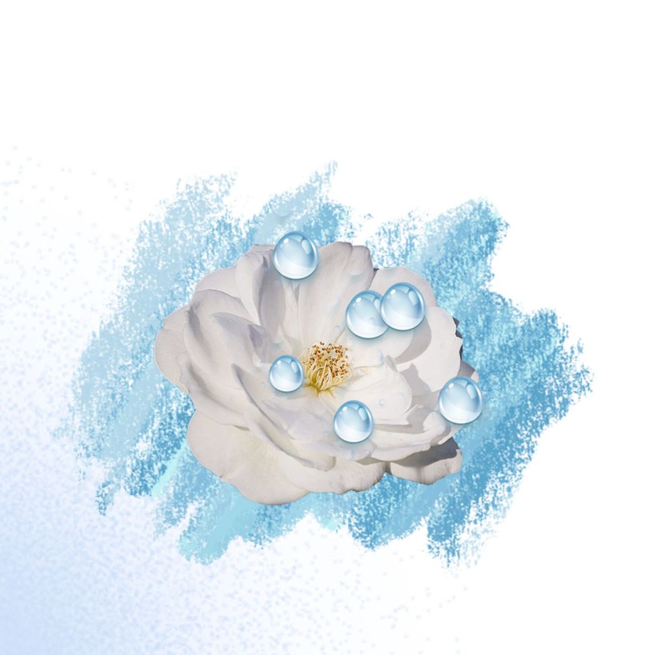 做了一个五行头像:90水 主要是蓝色加露水.花忽略我只是背景