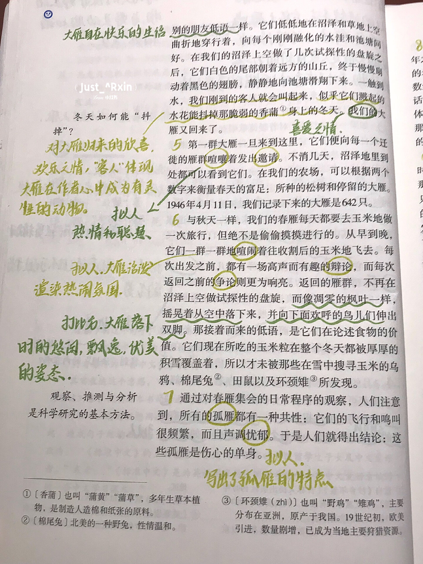 八年级下册语文| 7.大雁归来 预习笔记