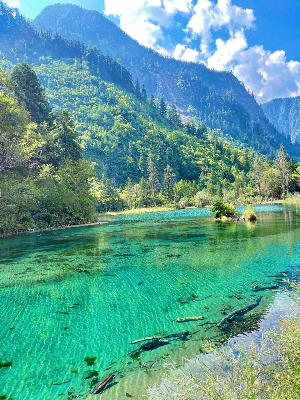 这个春天毕棚沟可以安排上了 91春天就要去毕棚沟,这个季节去毕棚沟