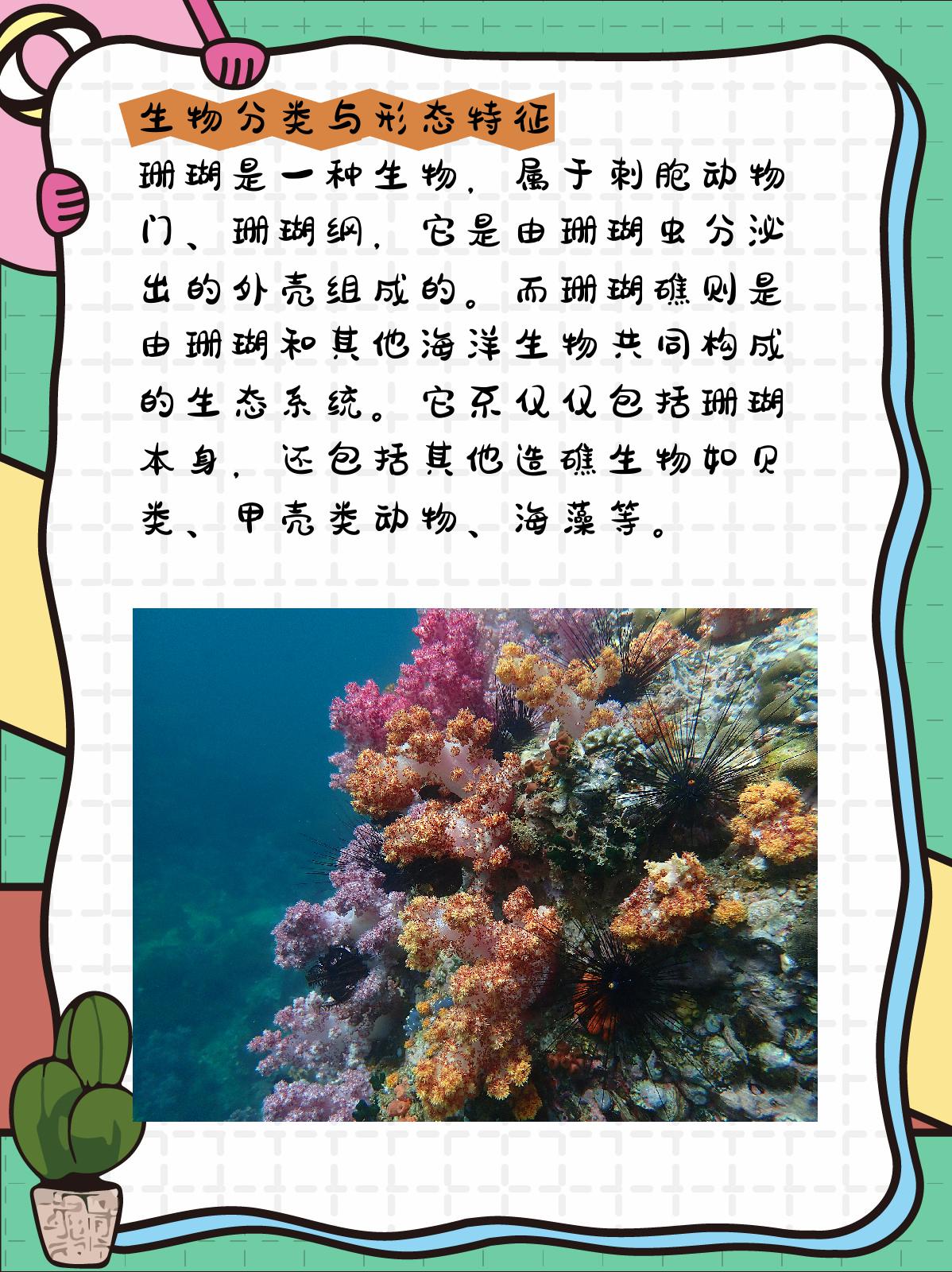 珊瑚和珊瑚礁的区别