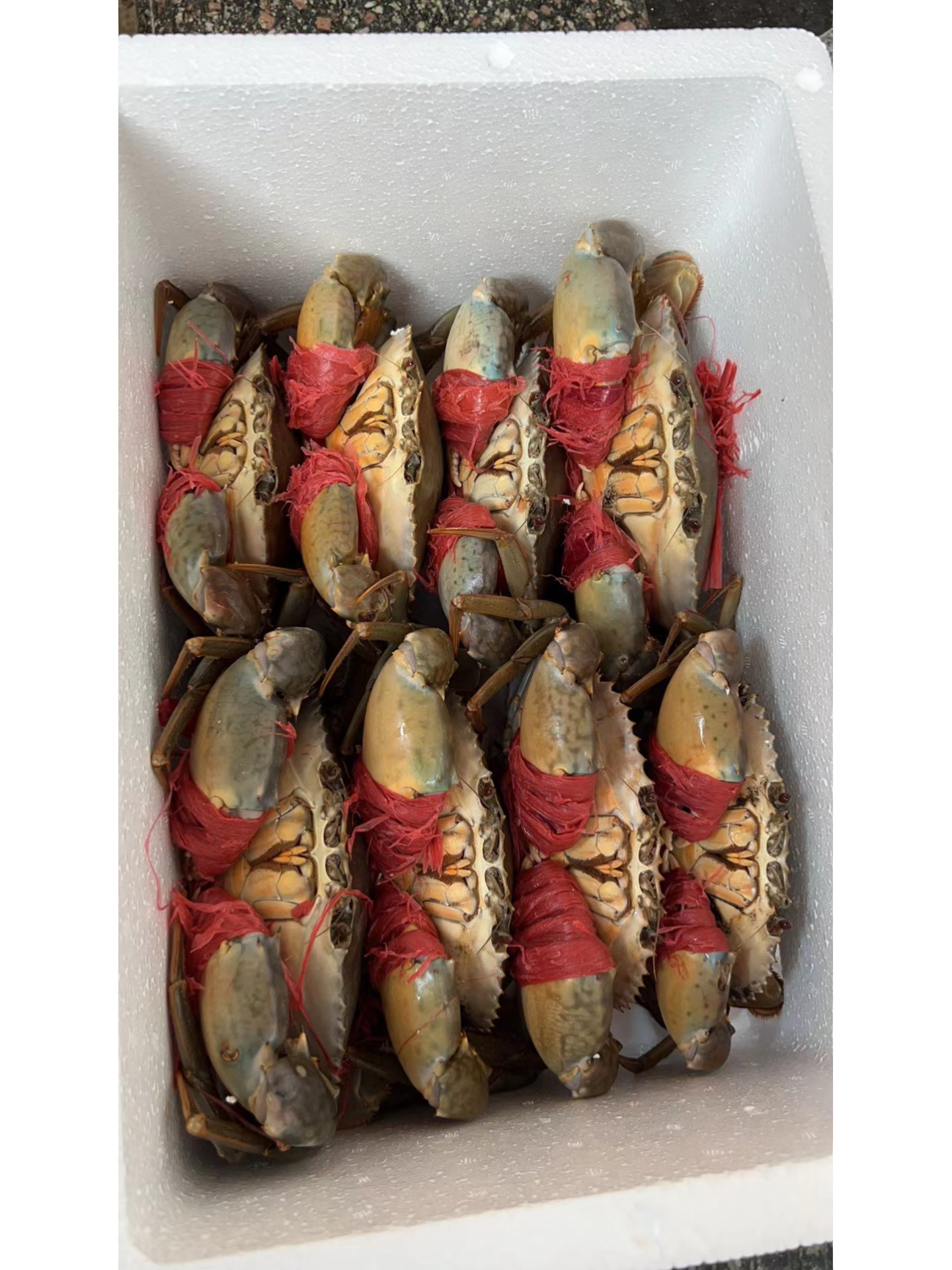 春节家庭聚餐首选清蒸红膏蟹红鲟 野生螃蟹每天都在打包