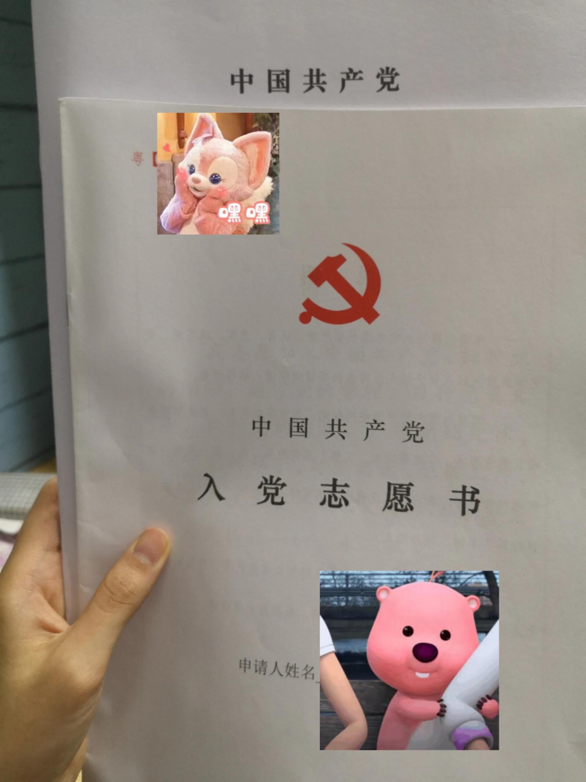 入党志愿书照片要求图片