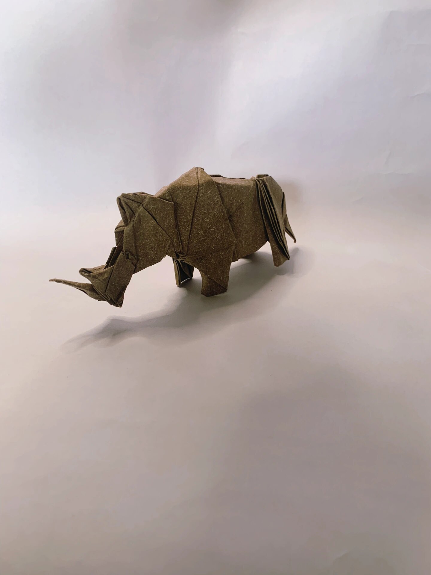 折纸犀牛 设计:陈晓 用纸:35ⅹ35杂色纸 折拍:我