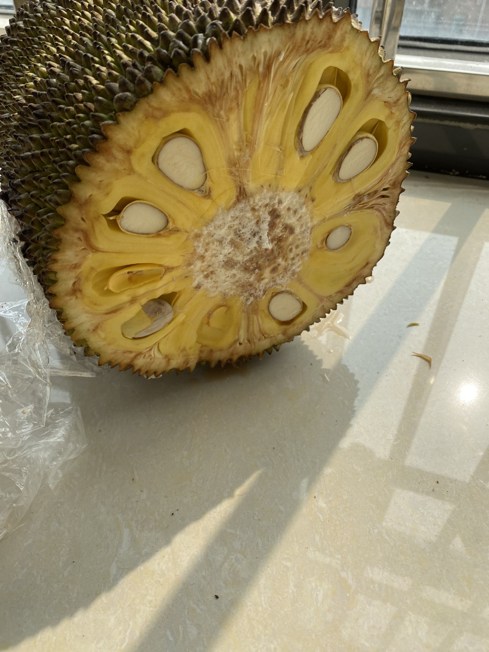 菠萝蜜不熟,切开了怎么办 第一次在网上买菠萝蜜,催熟一周了,不香也不