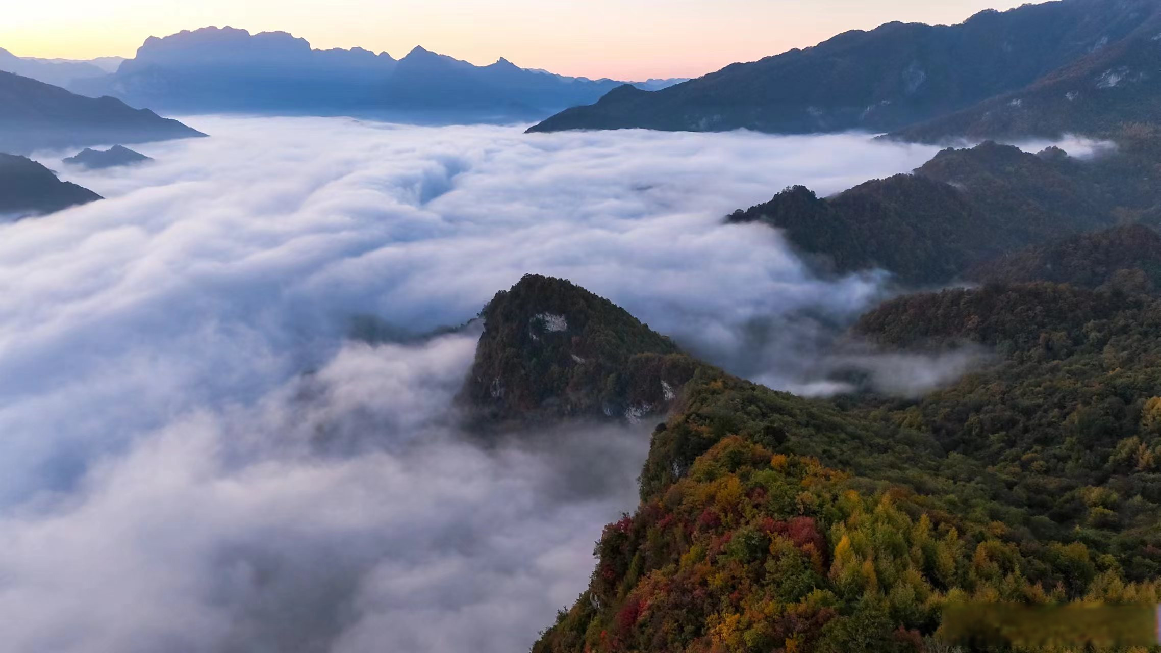 #陇南快讯# 金秋时节,徽县青泥岭频现壮美的云海景观,茫茫云海翻涌在