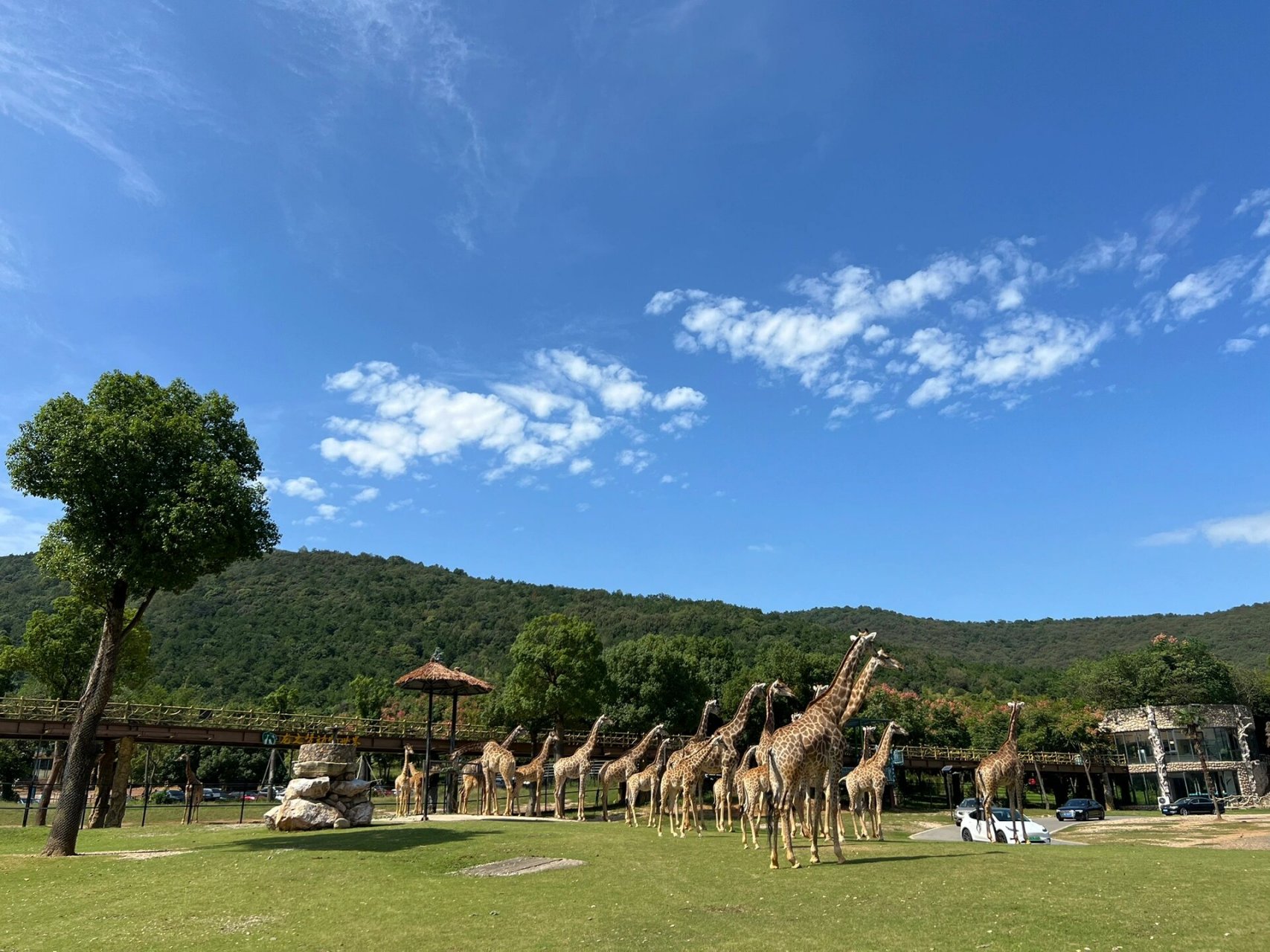 湖州太湖度假村图片