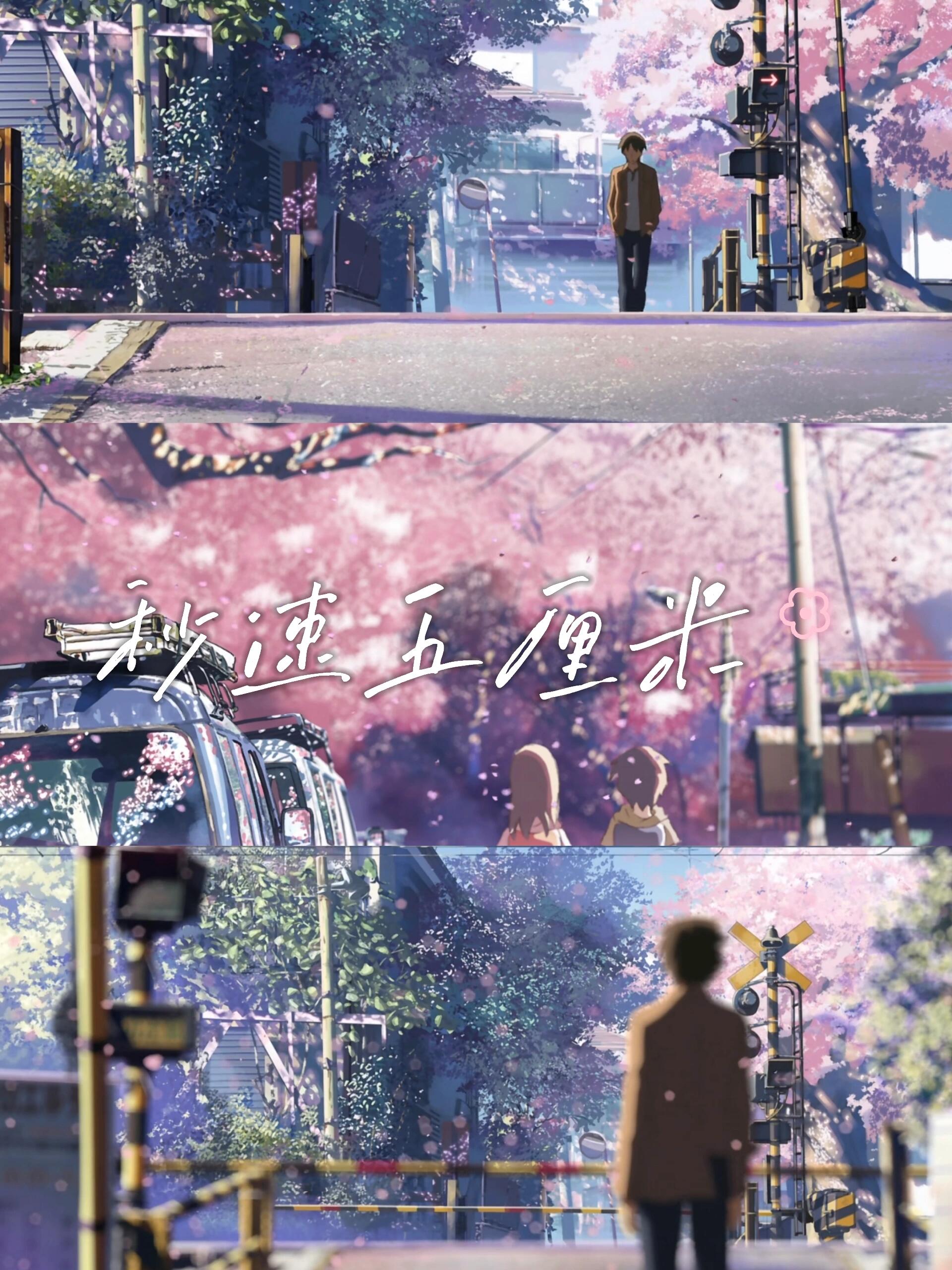 《秒速五厘米》经典语录94 94如果樱花掉落的速度是每秒5厘米