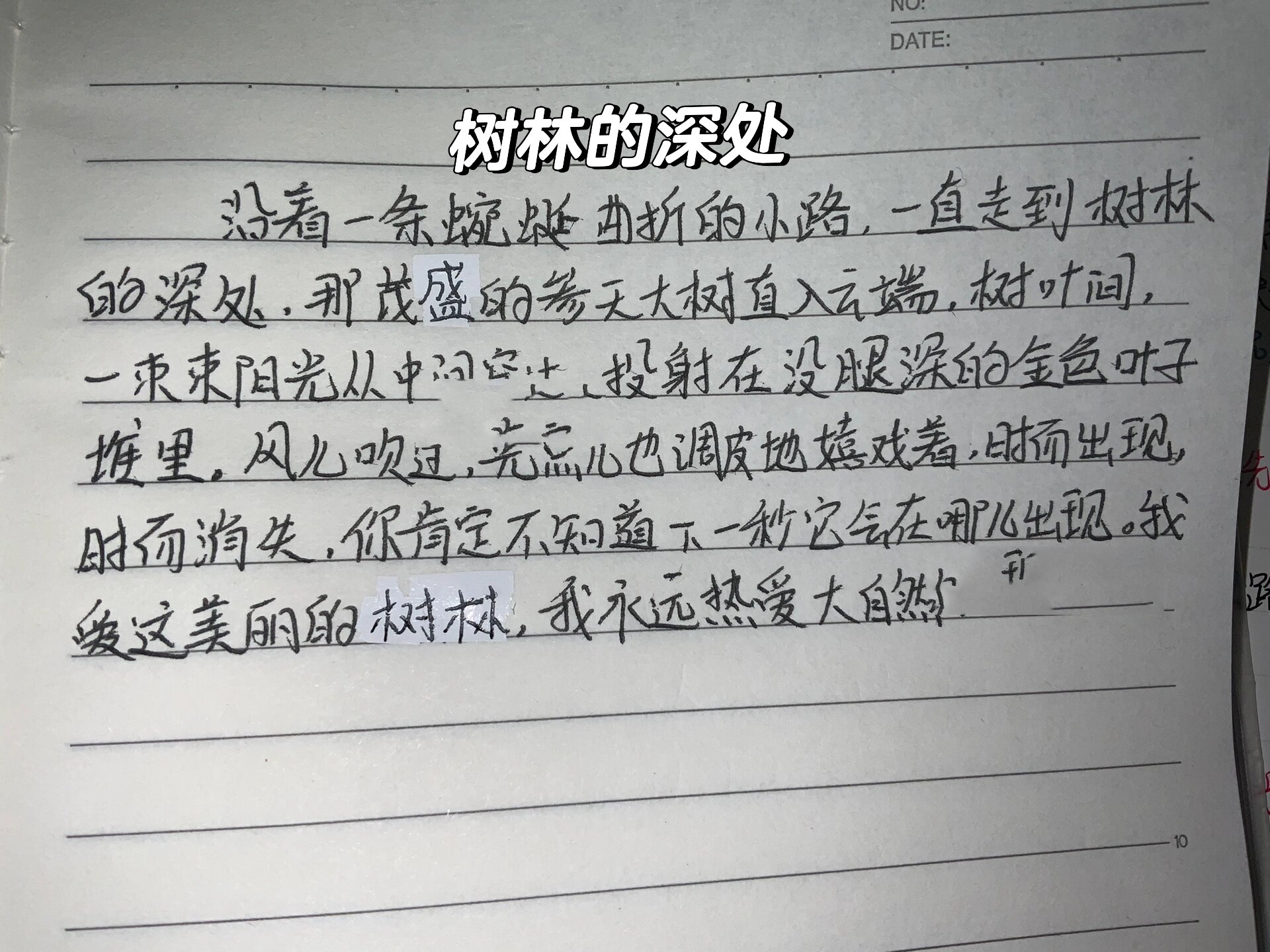 饱经风霜的脸&树林的深处 六年级语文小练笔