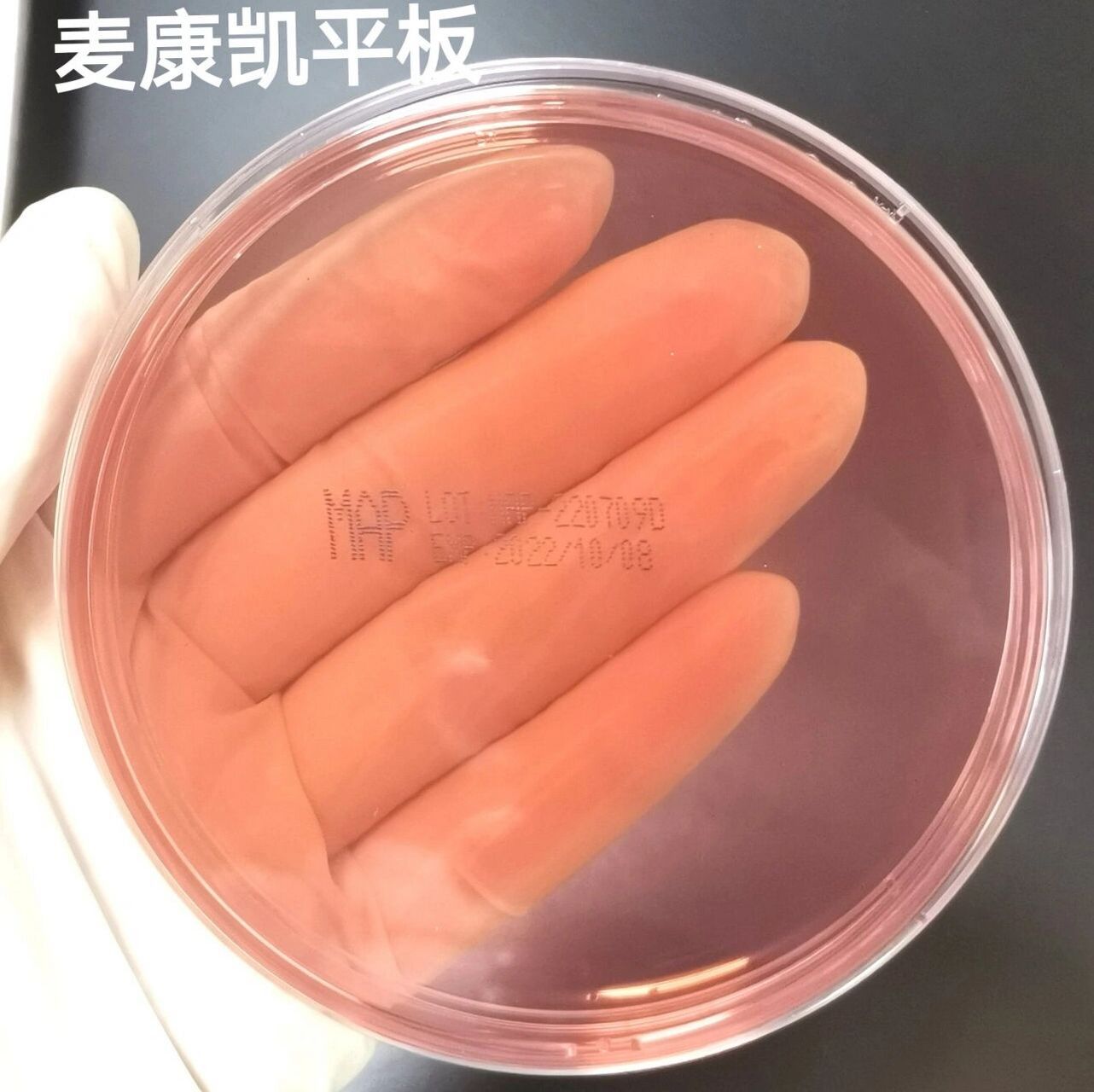 麦康凯平板的使用 用于大肠,沙门,志贺的分离,多用于肠道杆菌的培养.