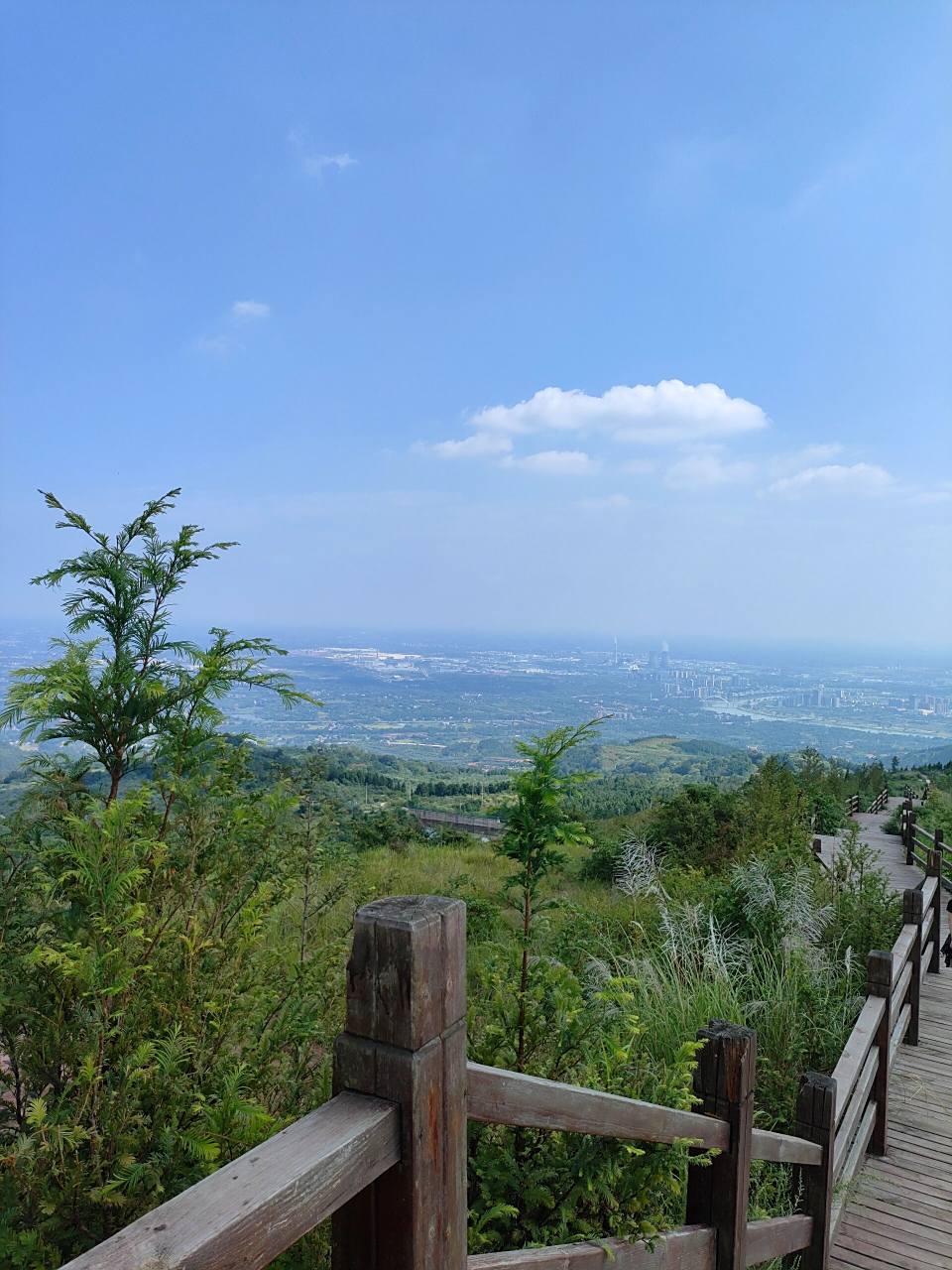 金堂龚家山观景台 开阔的视野,清新的空气,还有vc之王刺梨,刺梨泡水真