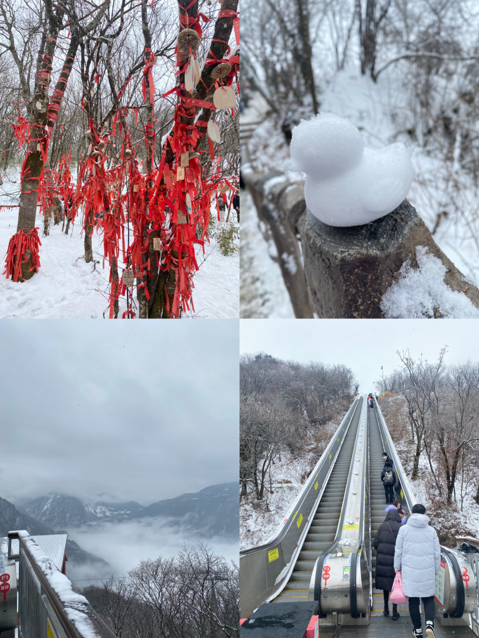 汉中 龙头山 一定要在冬天去一次龙头山7215 山上的雪7615景