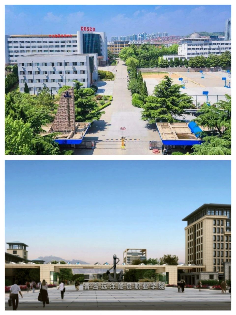 2023年青岛远洋船员职业学院单招综评招生计划已公布!
